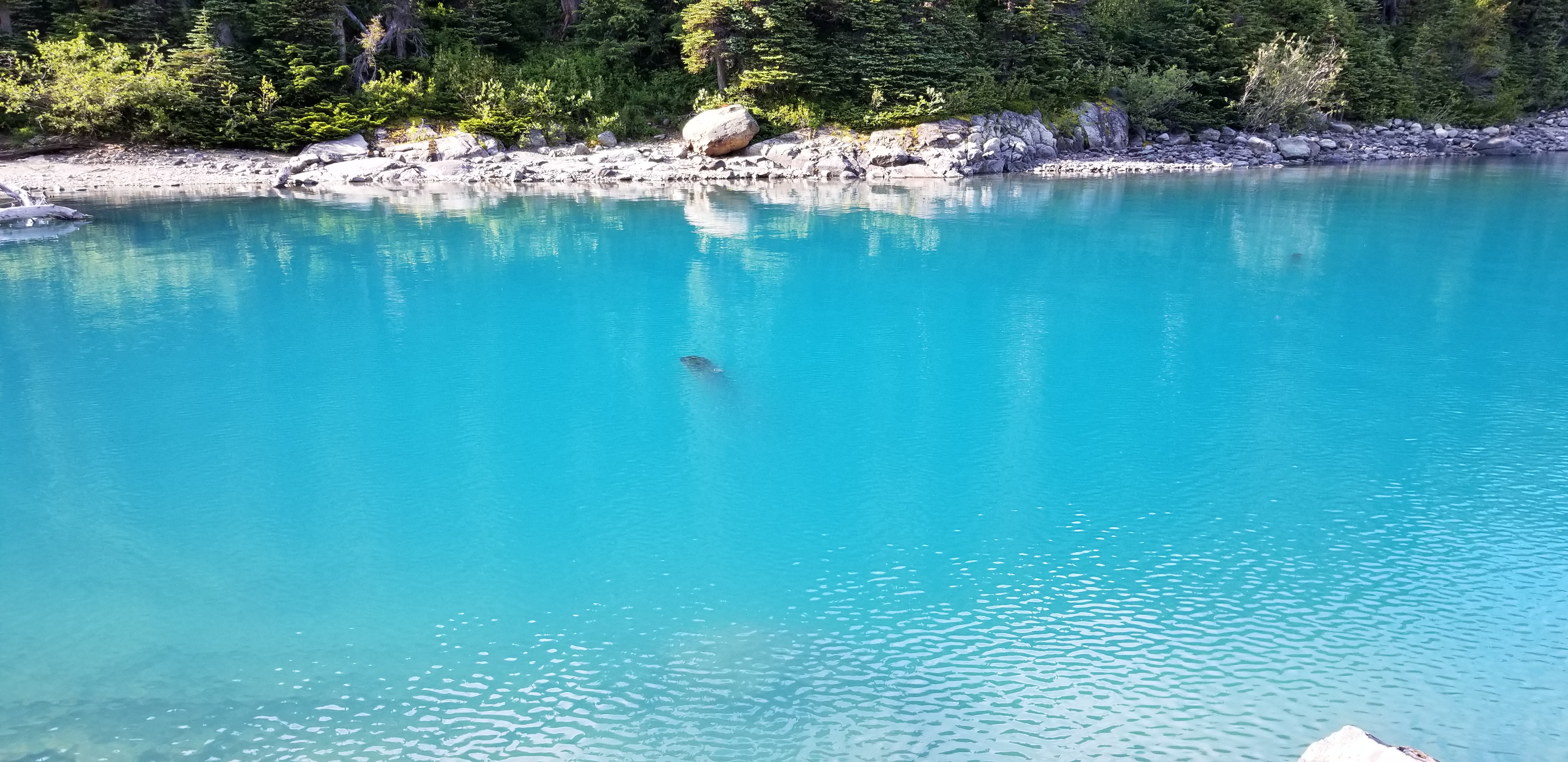 Garibaldi Lake looked even more vibrant on the way down