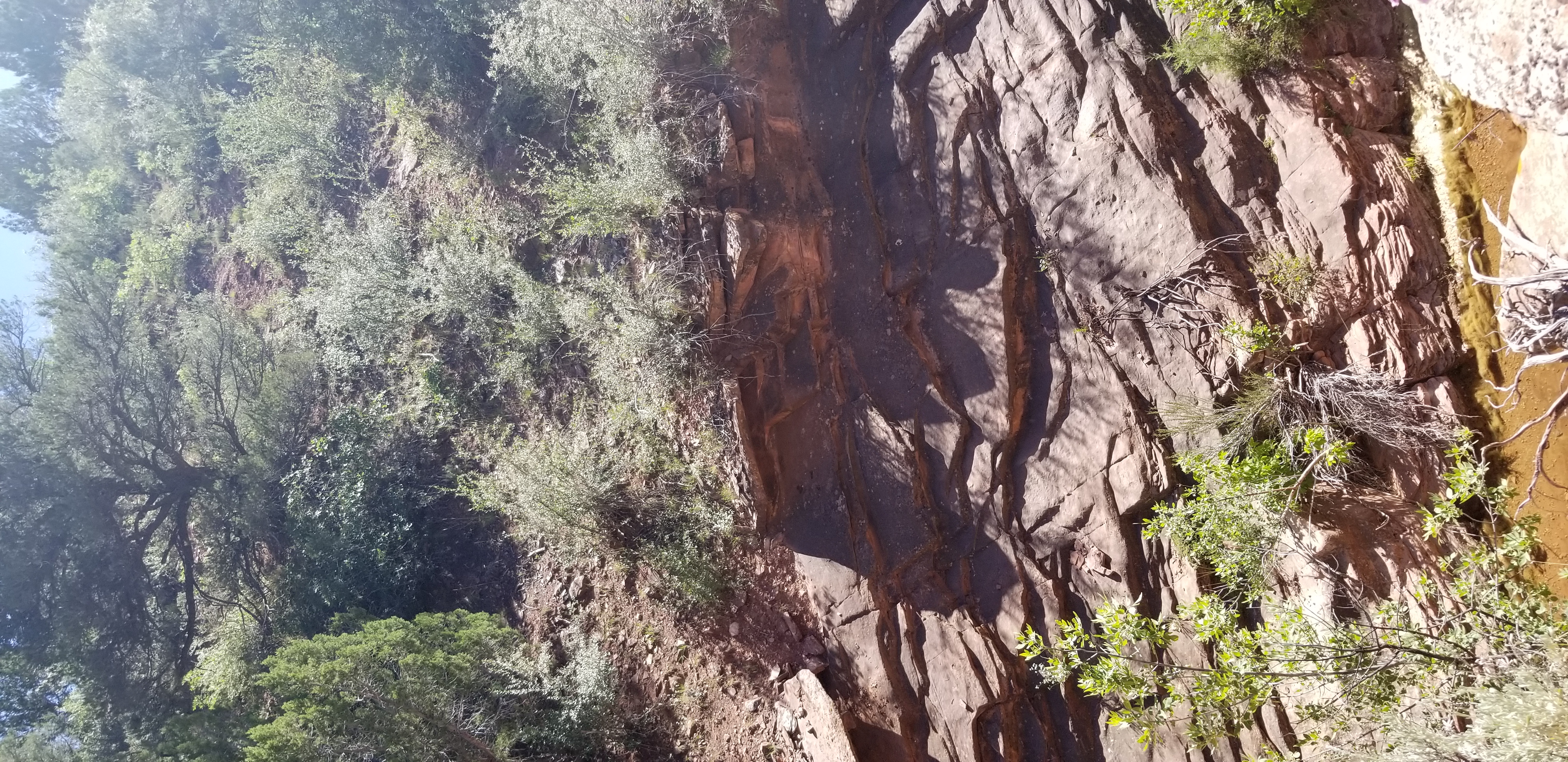 Stream running through the canyon below the trail