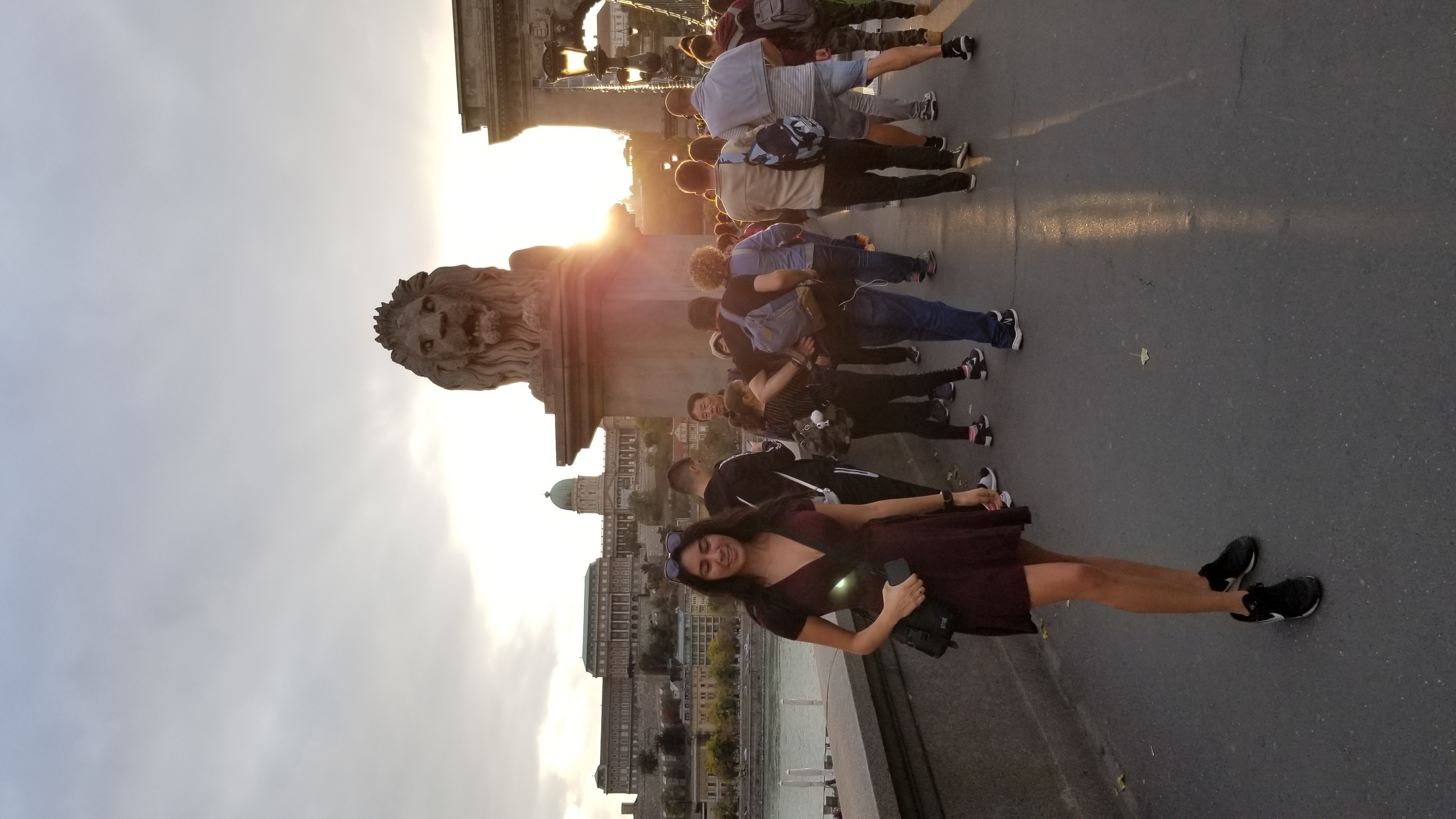 The famous Chain Bridge in Budapest