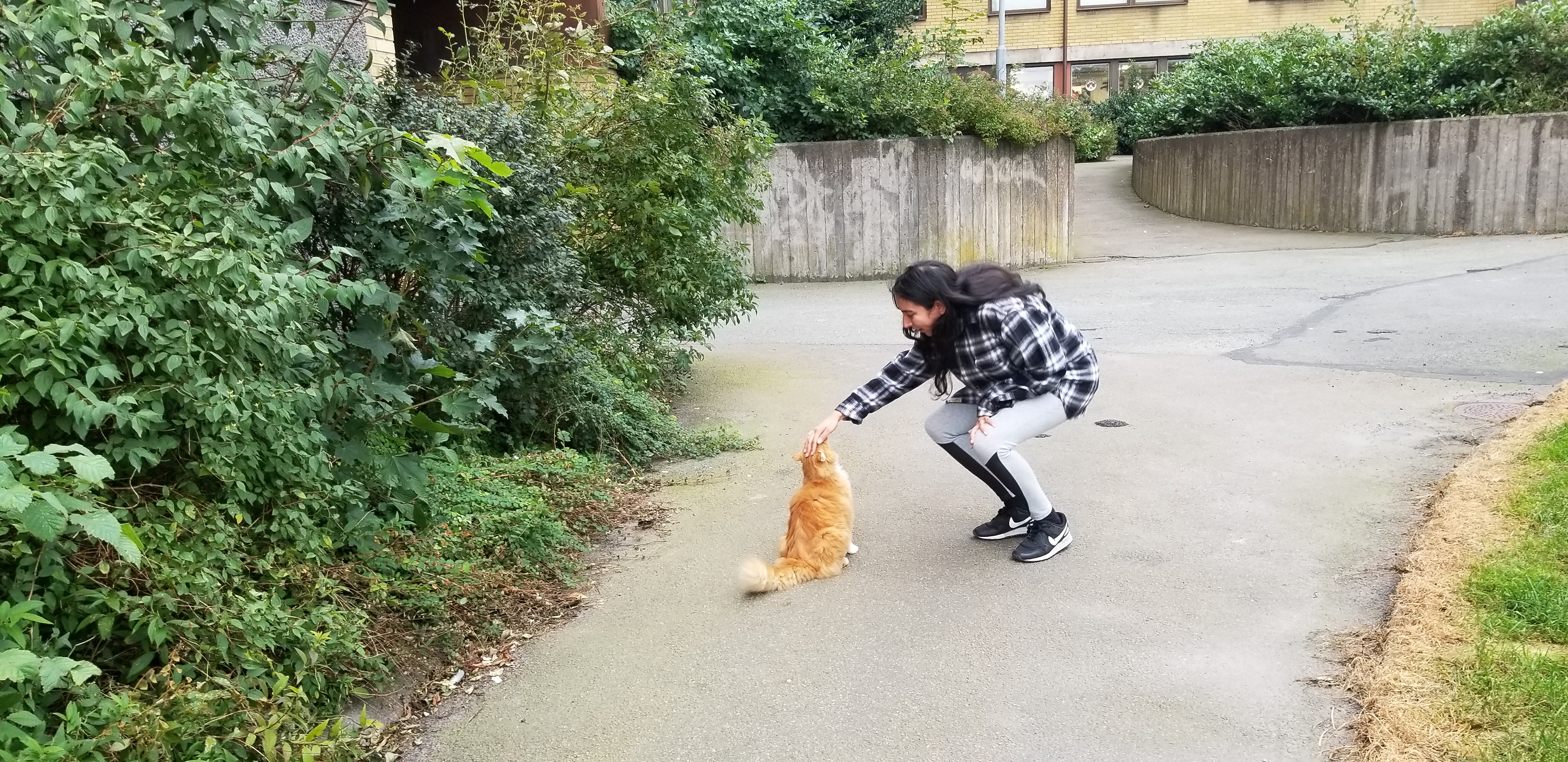 Zelzah made a friend in Gothenburg, Sweden