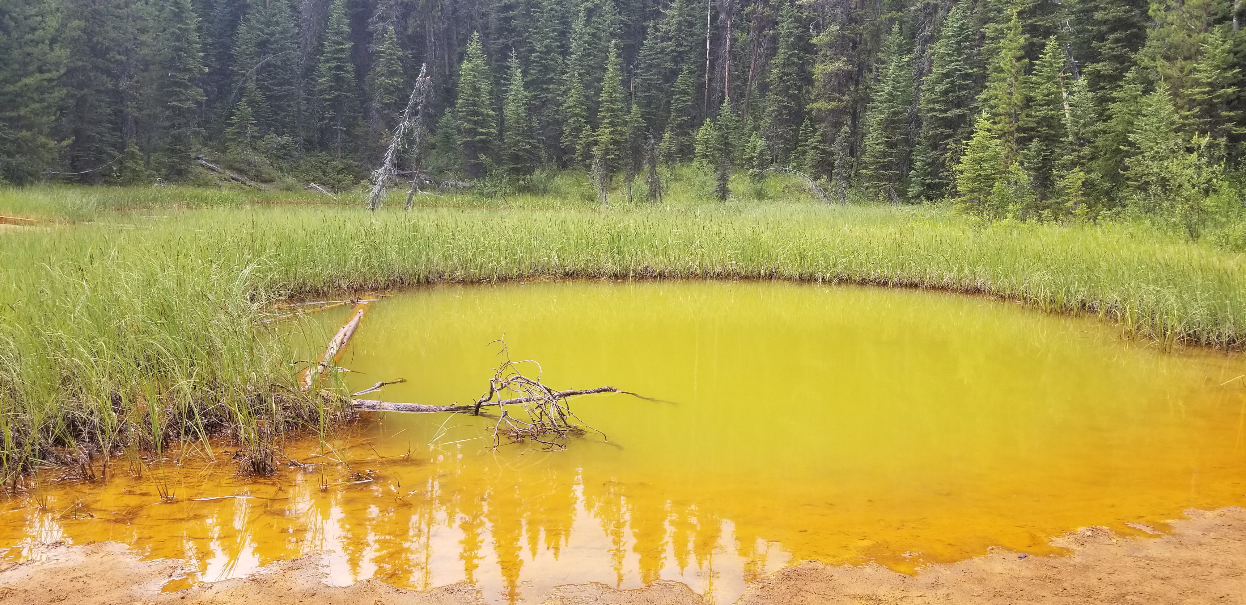 Ochre pool in Kootenay NP, Canada