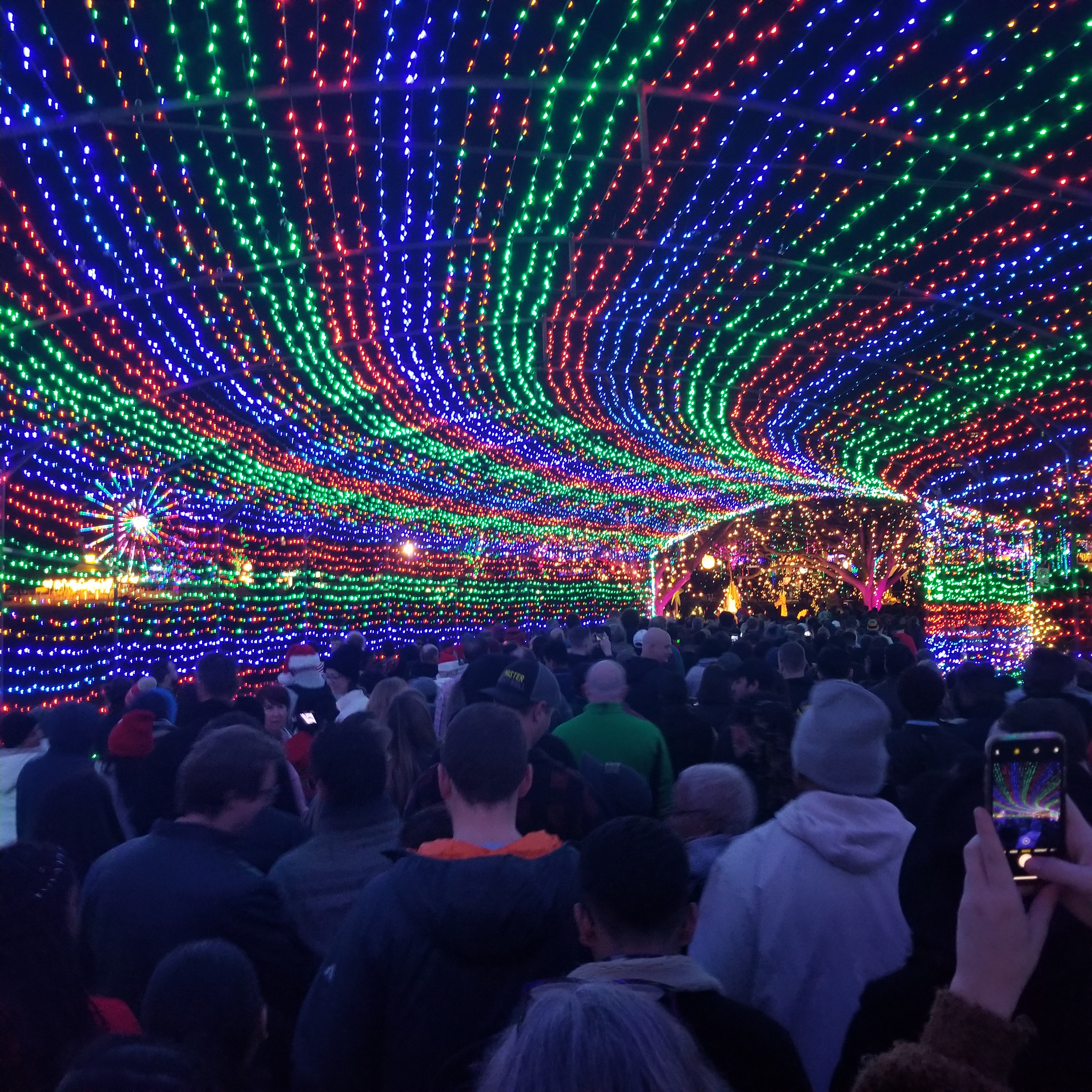 Austin Trail of Lights