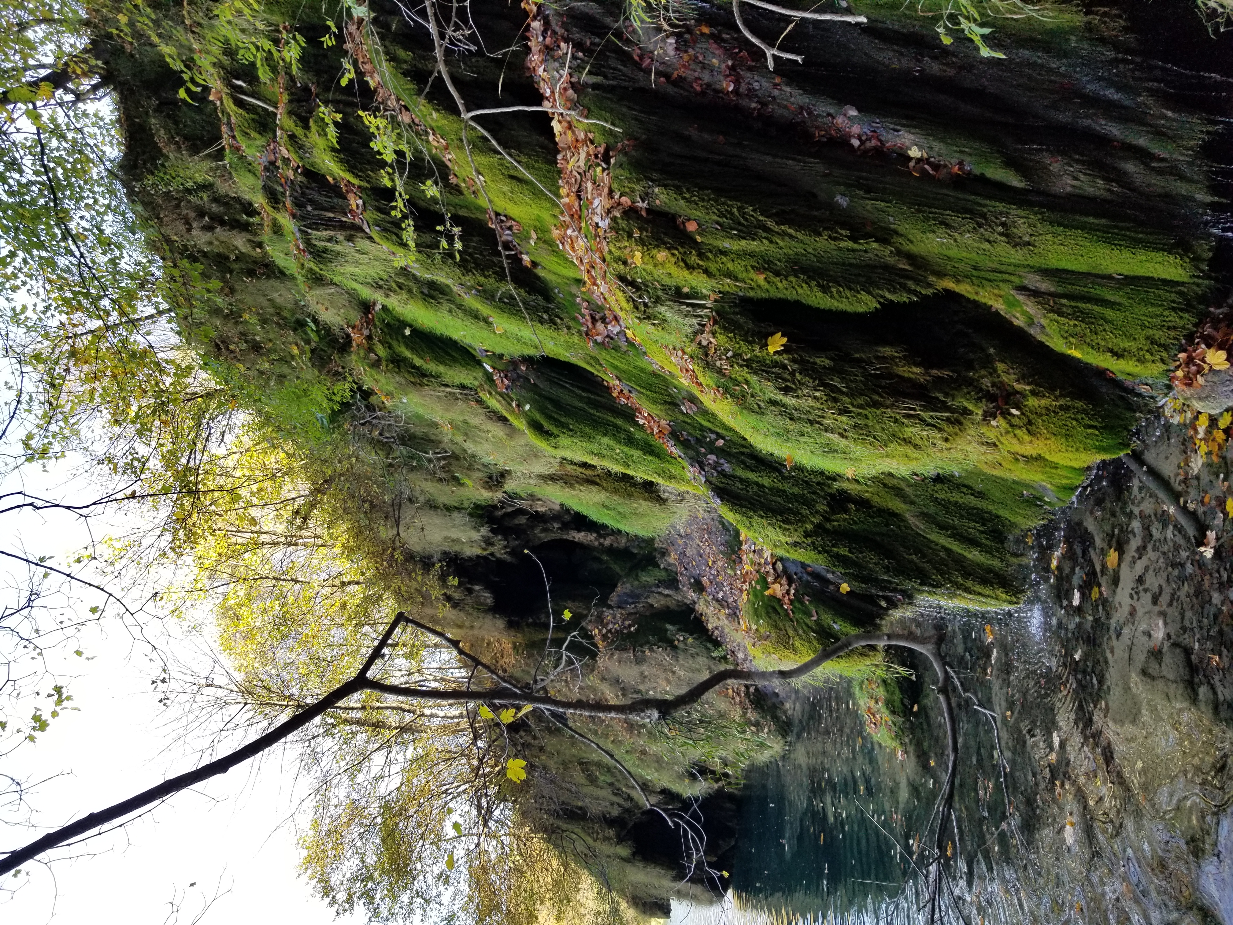 Hanging garden in Plitvice Lakes National Park in Croatia