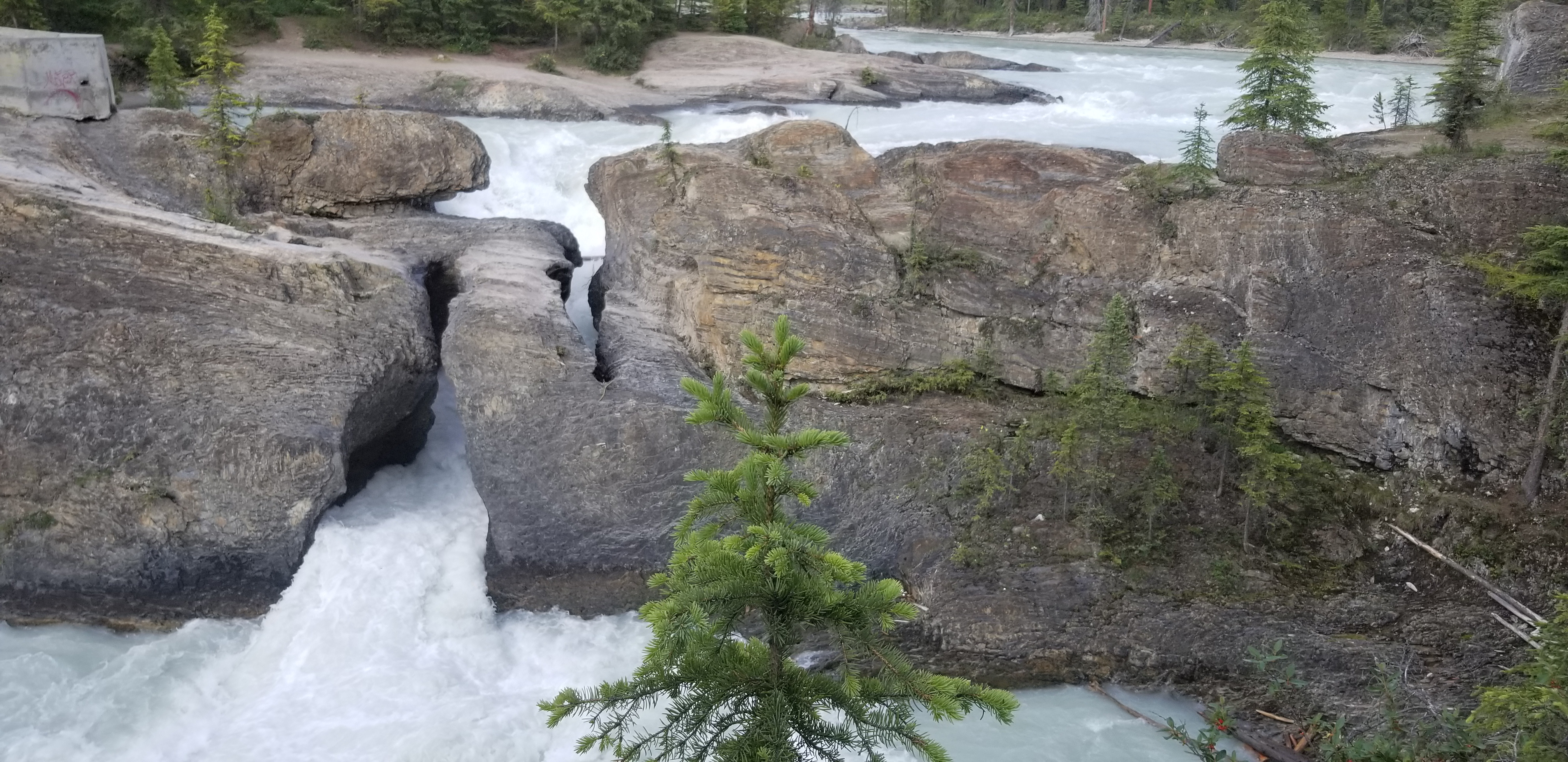 Natural bridge, Yoho NP, Canada