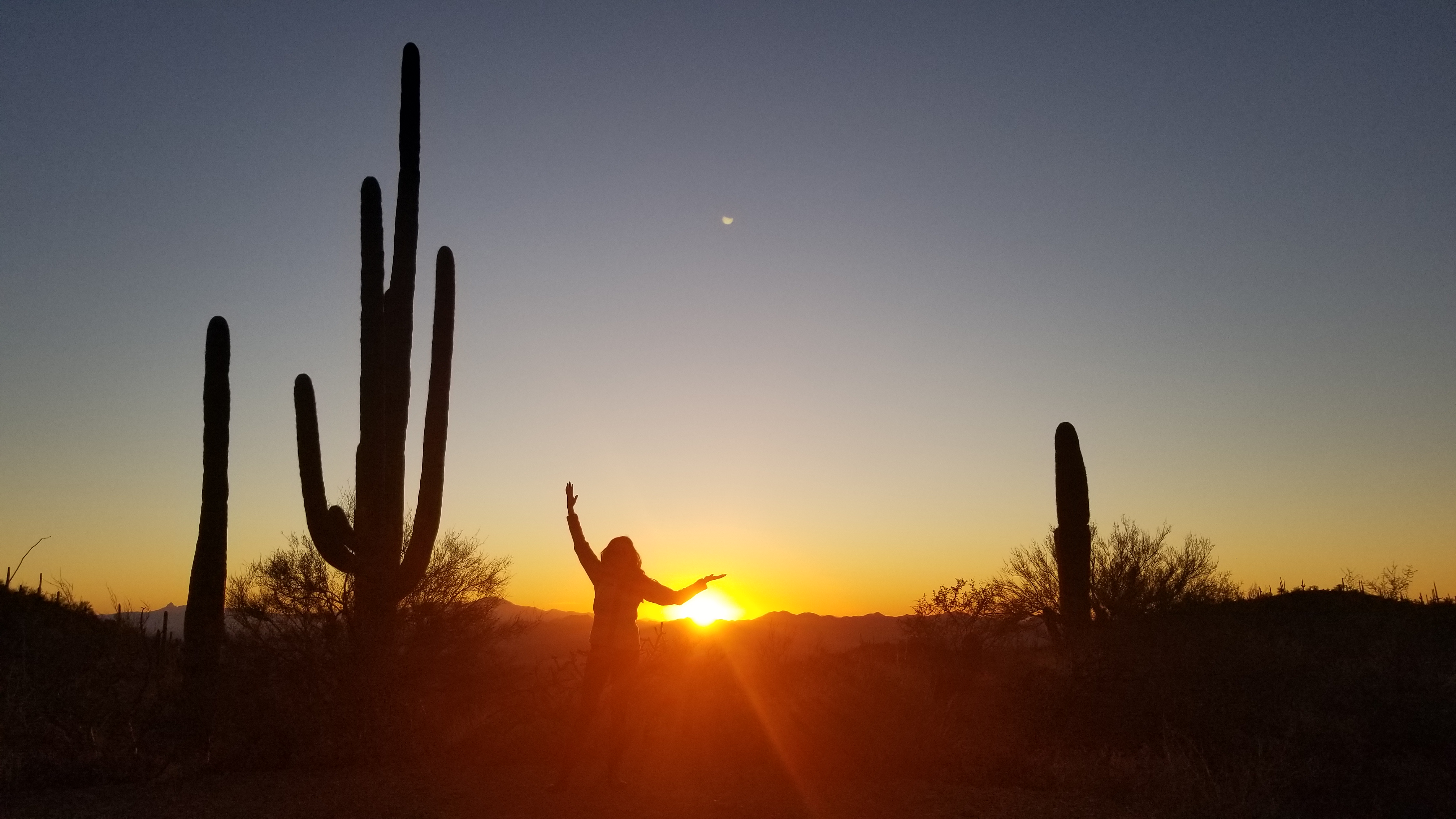 Trying to fit in with the Saguaros