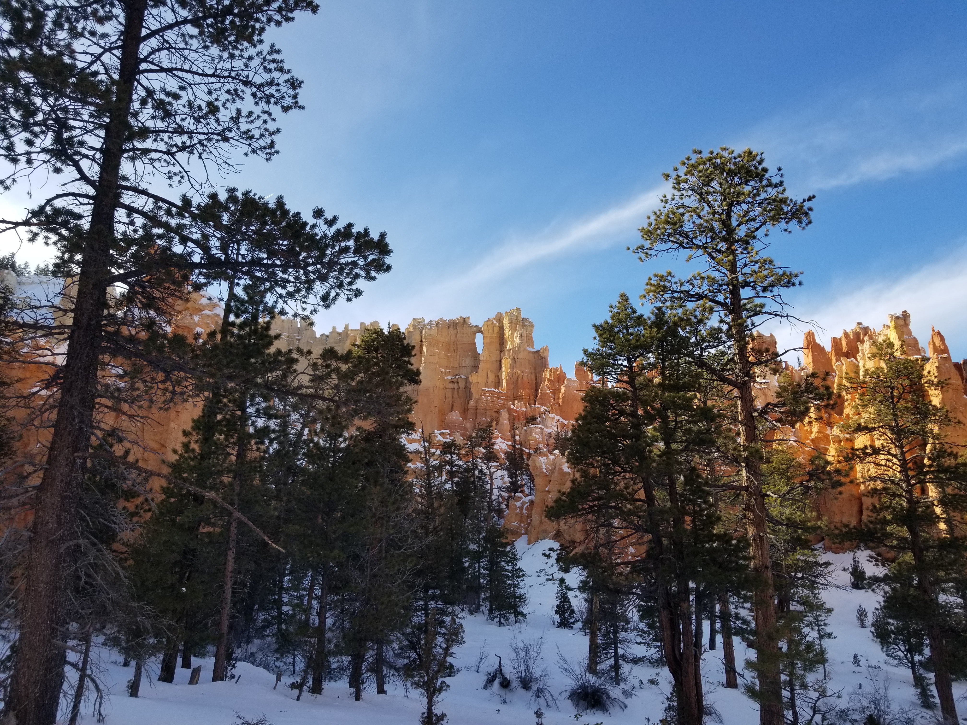 In the forests of Bryce Canyon