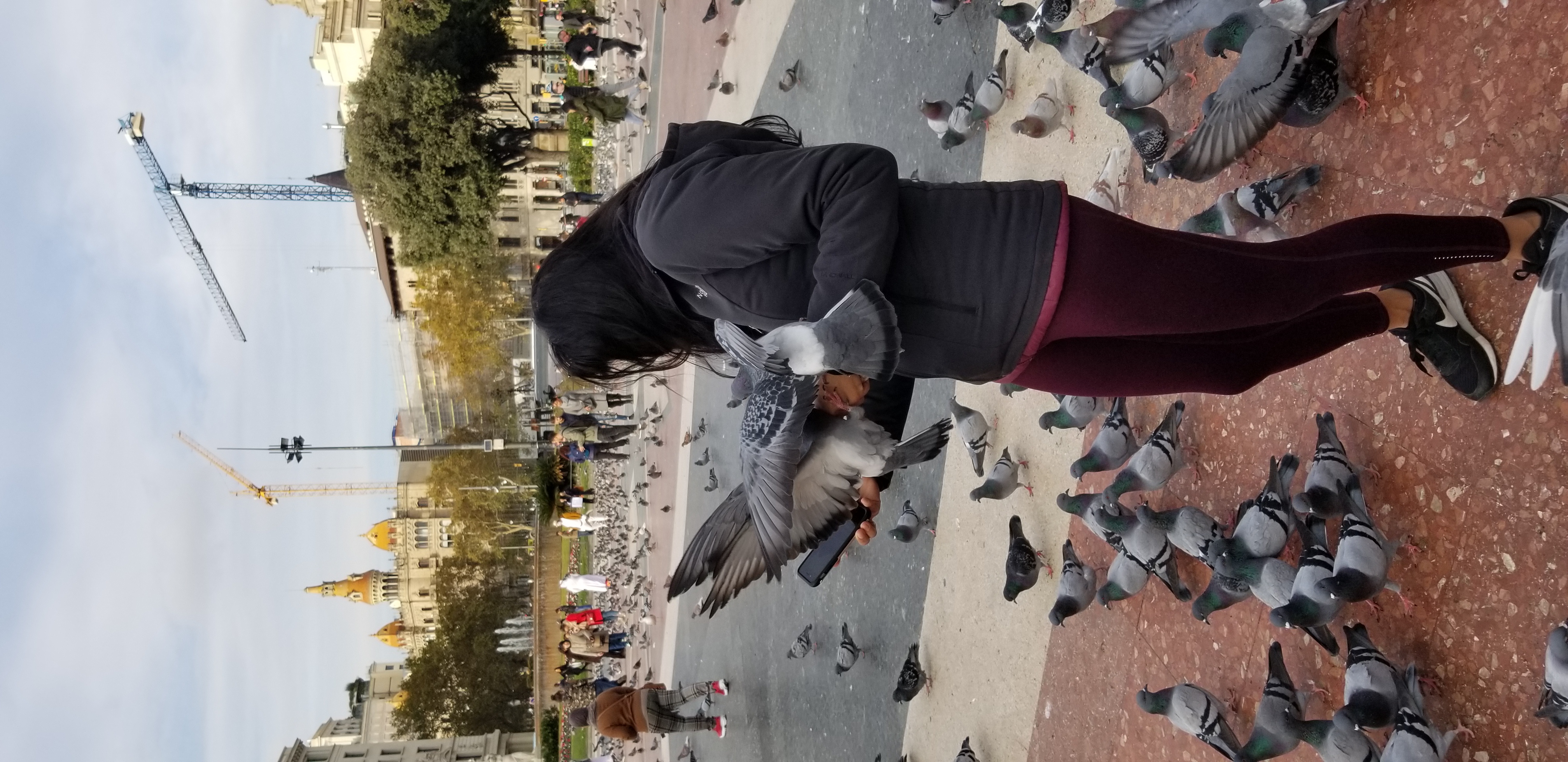 The pigeons loved us a little too much at Placa de Catalonia in Barcelona, Spain