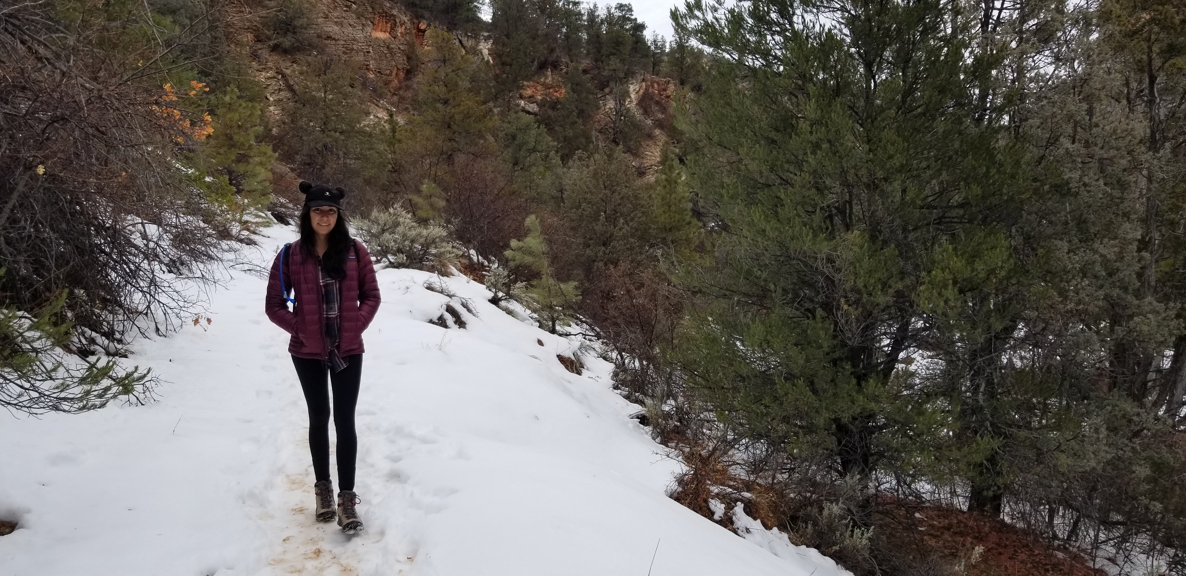 Hike on the East Rim trail in Zion National Park.