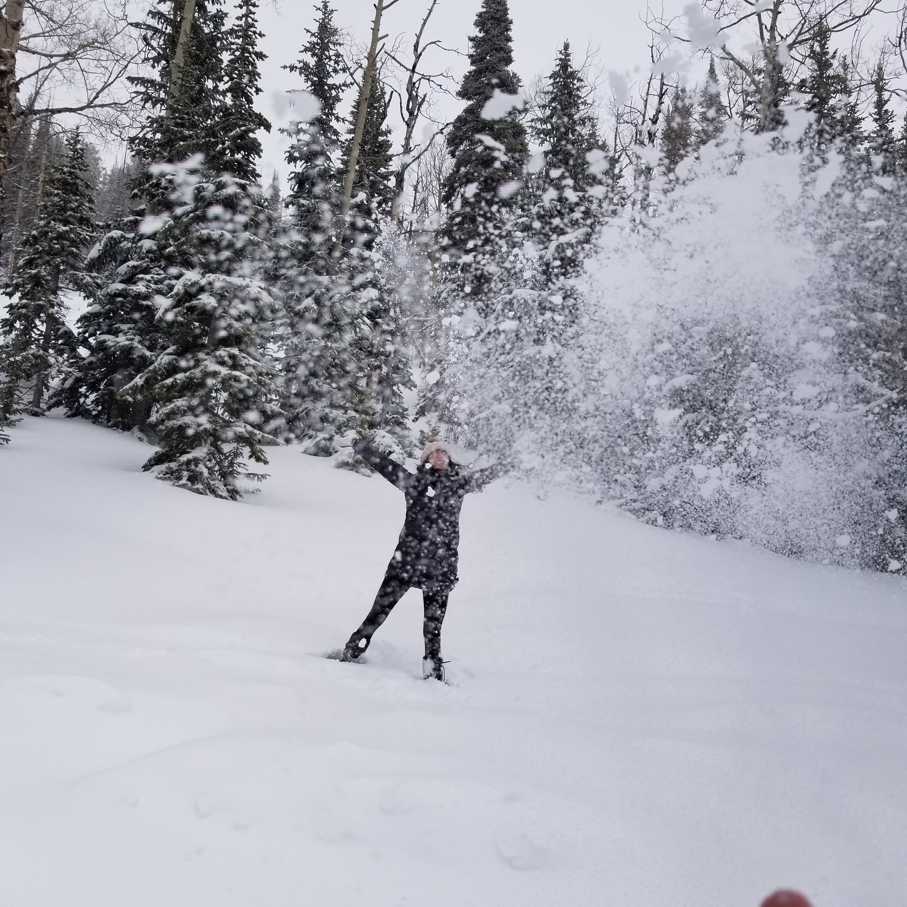 Fresh snow in Brianhead, Utah