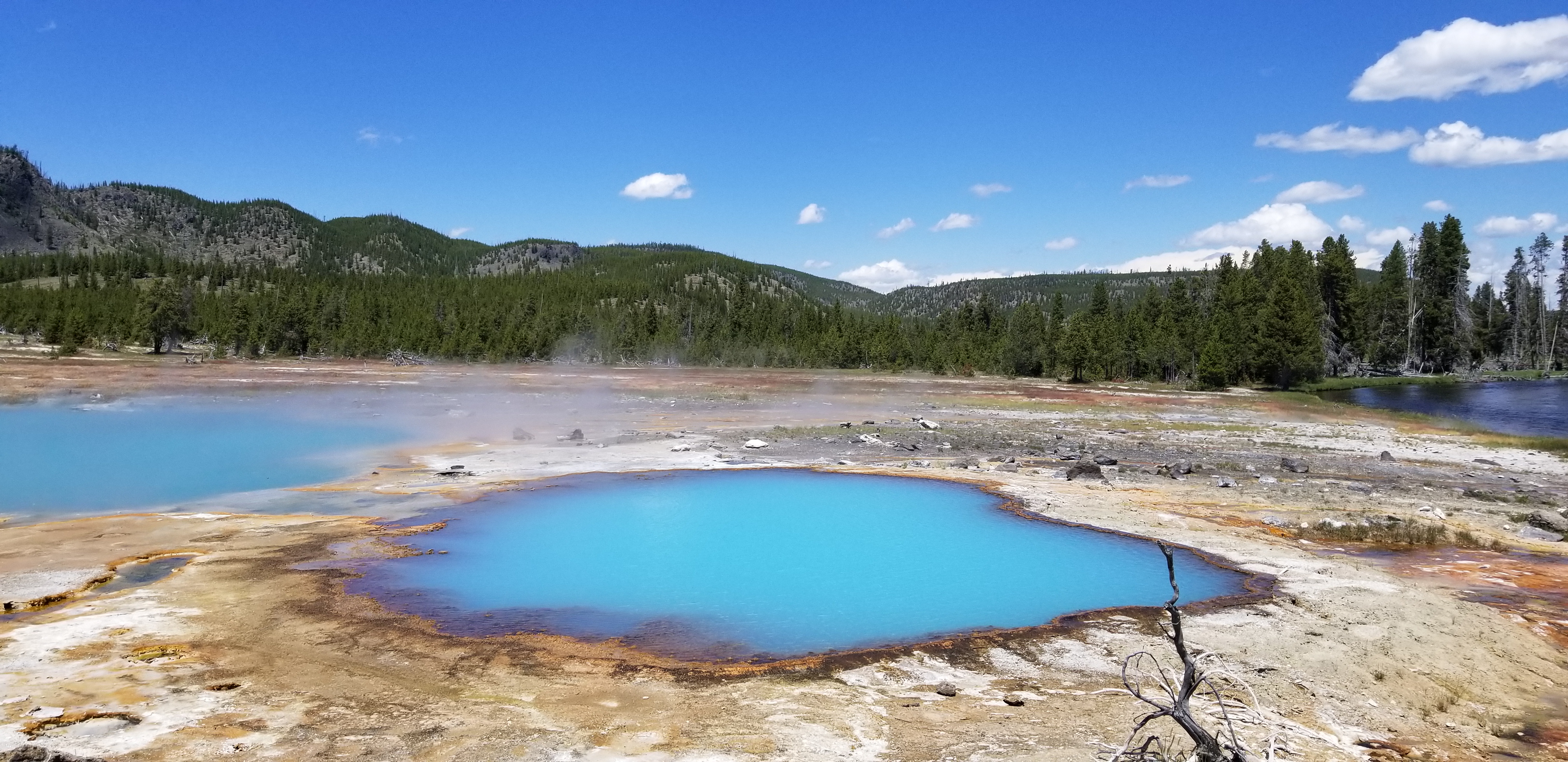 Very blue, near boiling pools of acid and sediment in Yellowstone NP