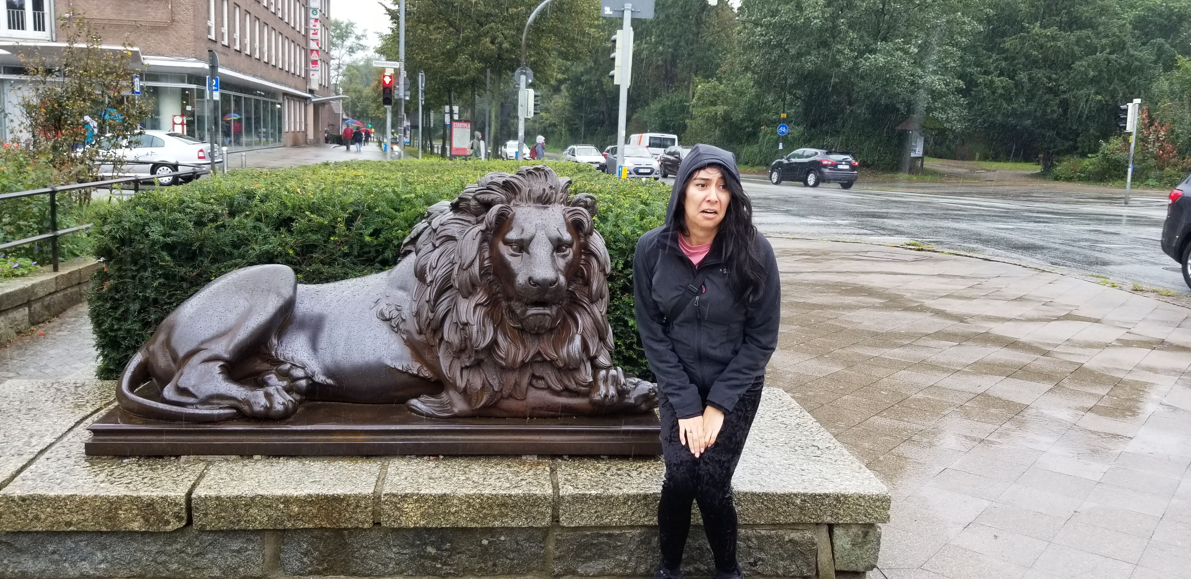 Zelzah shares a lion's opinion of the rain in Lubeck, Germany