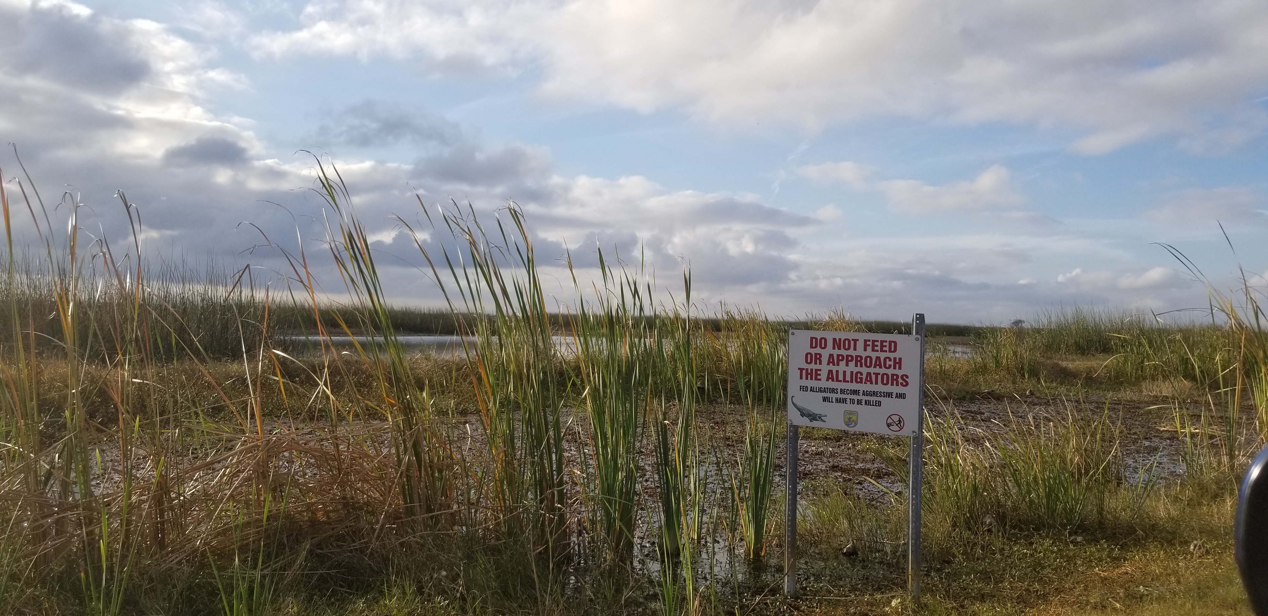 Sign at Pintail Wildlife Refuge warning not to feed alligators as they can see humans as a source of food and potentially become dangerous (this goes for all wildlife)