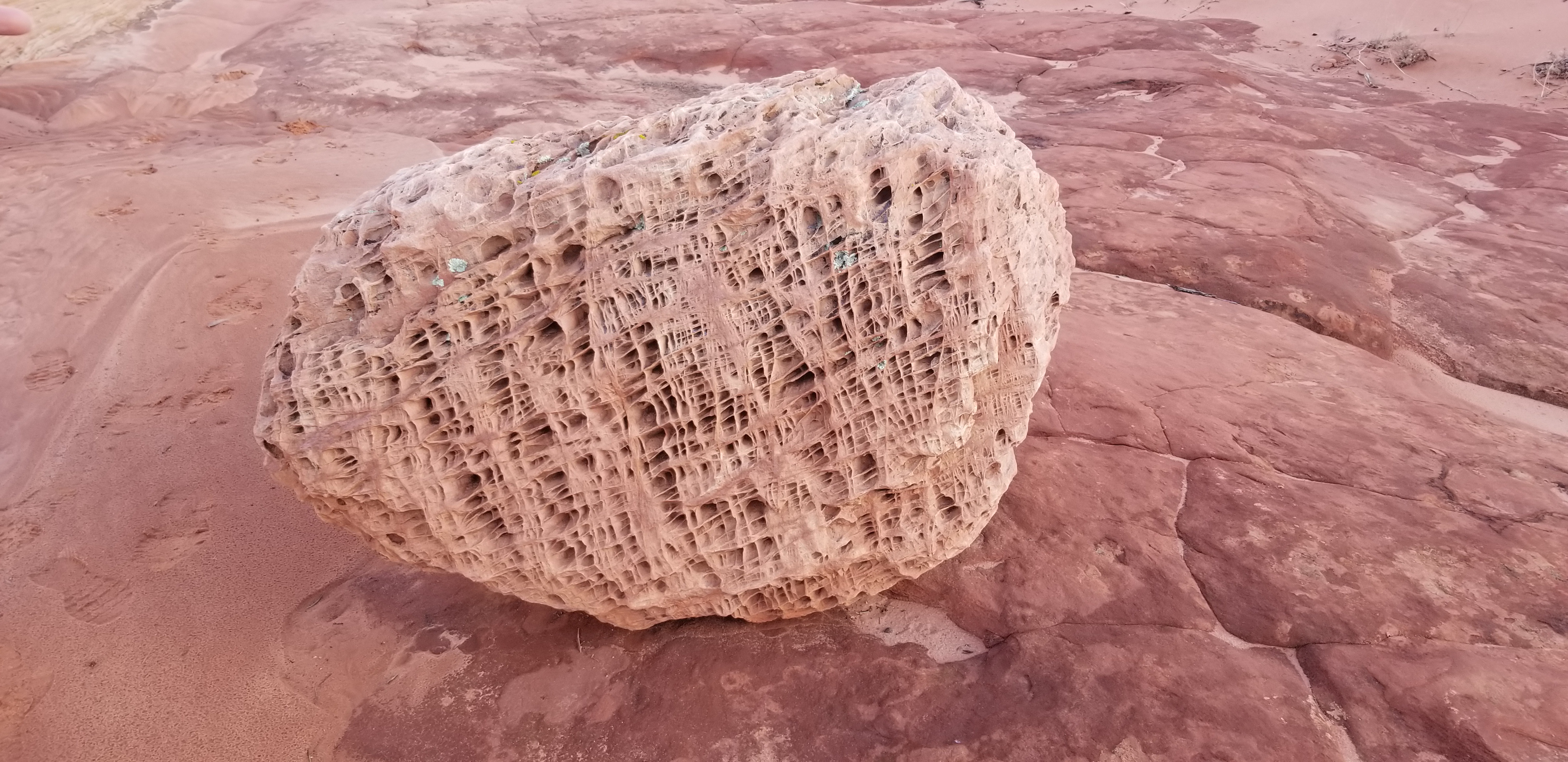 Cool rock in North Coyote Buttes