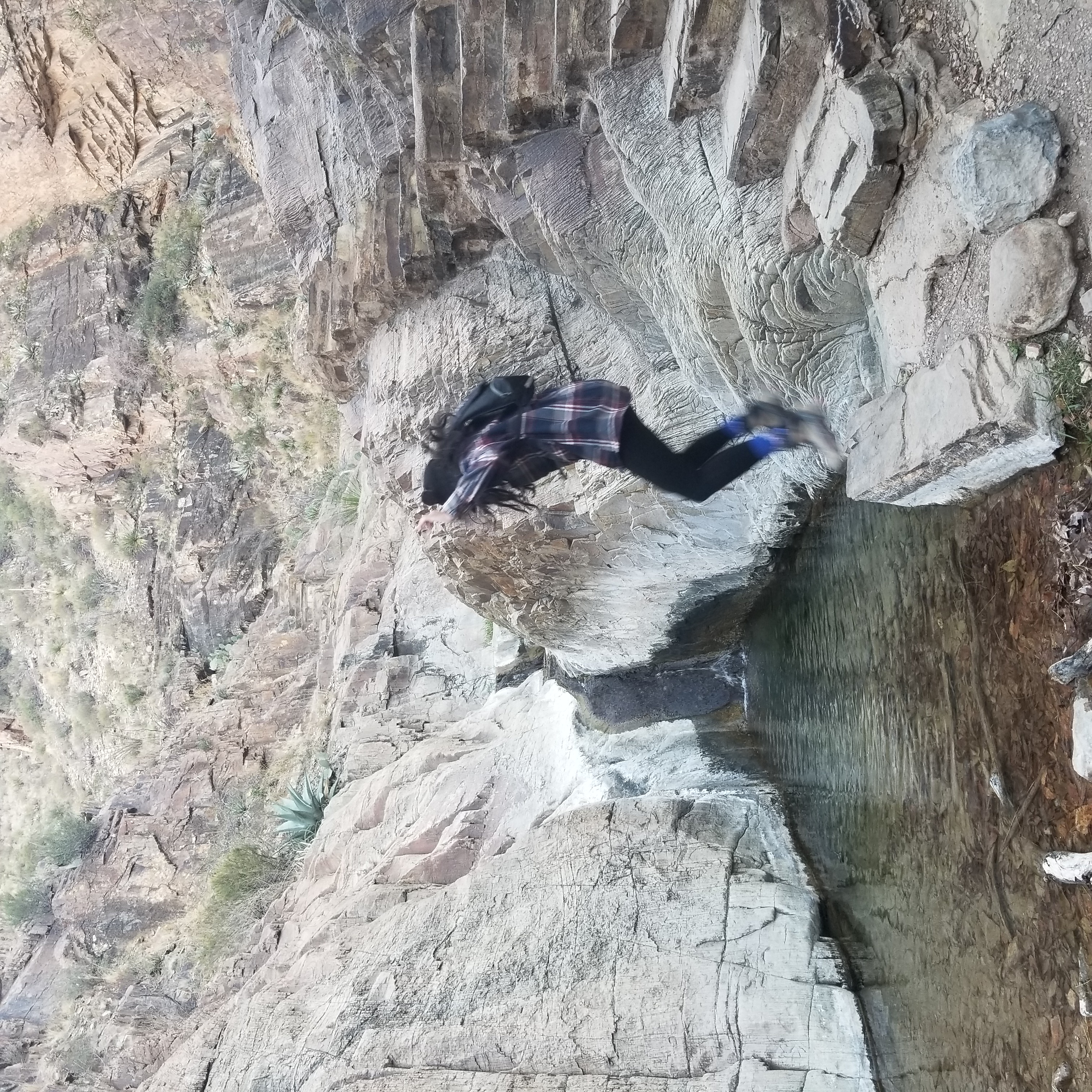 Zelzah jumps across the stream which crosses back and forth across the Window Trail in Big Bend National Park.