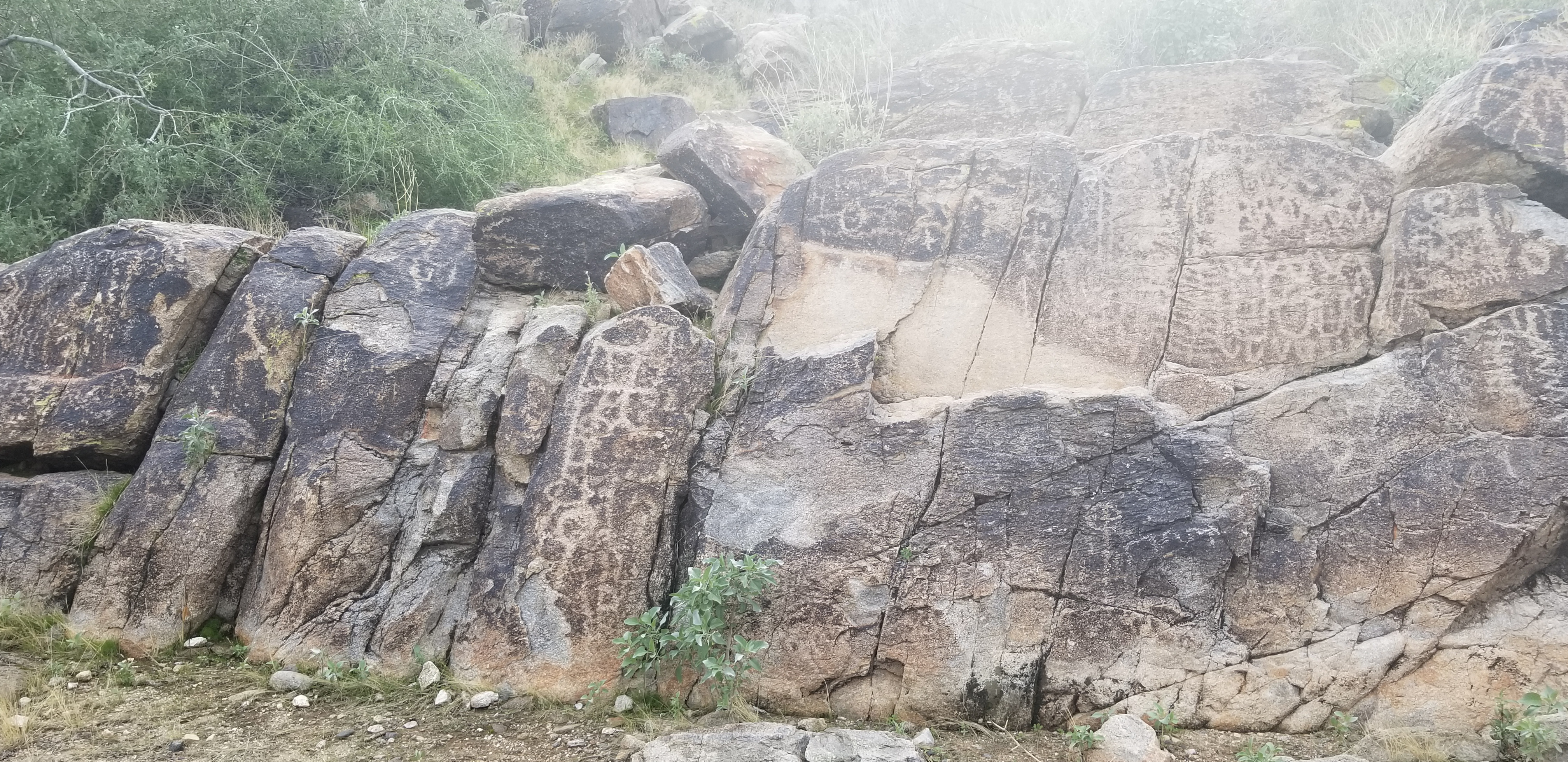 Petroglyphs on a hike in White Tank Regional Park in Arizona.