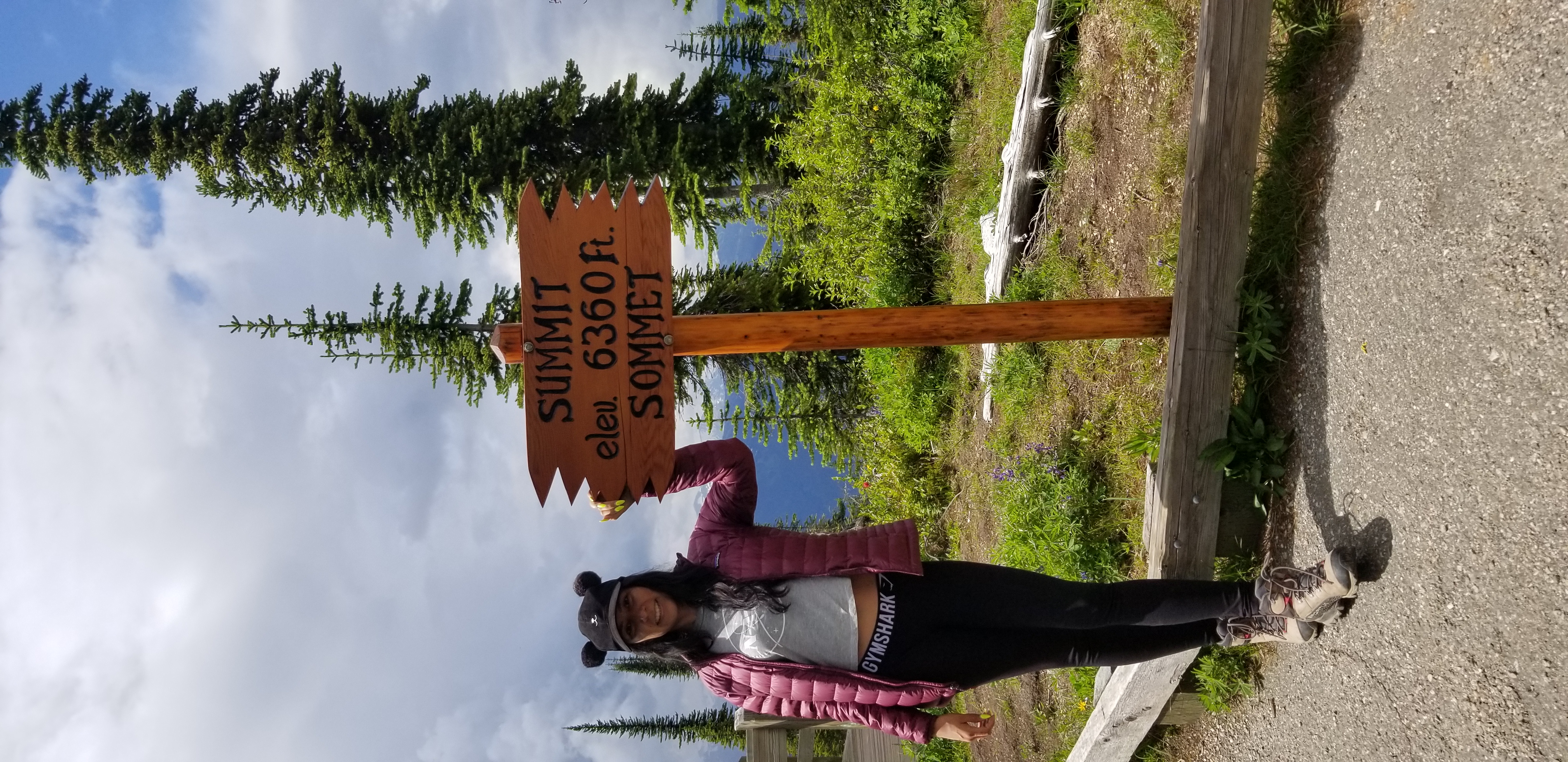 On the summit of mt revelstoke, 20m from the trailhead (m=meters, not miles)