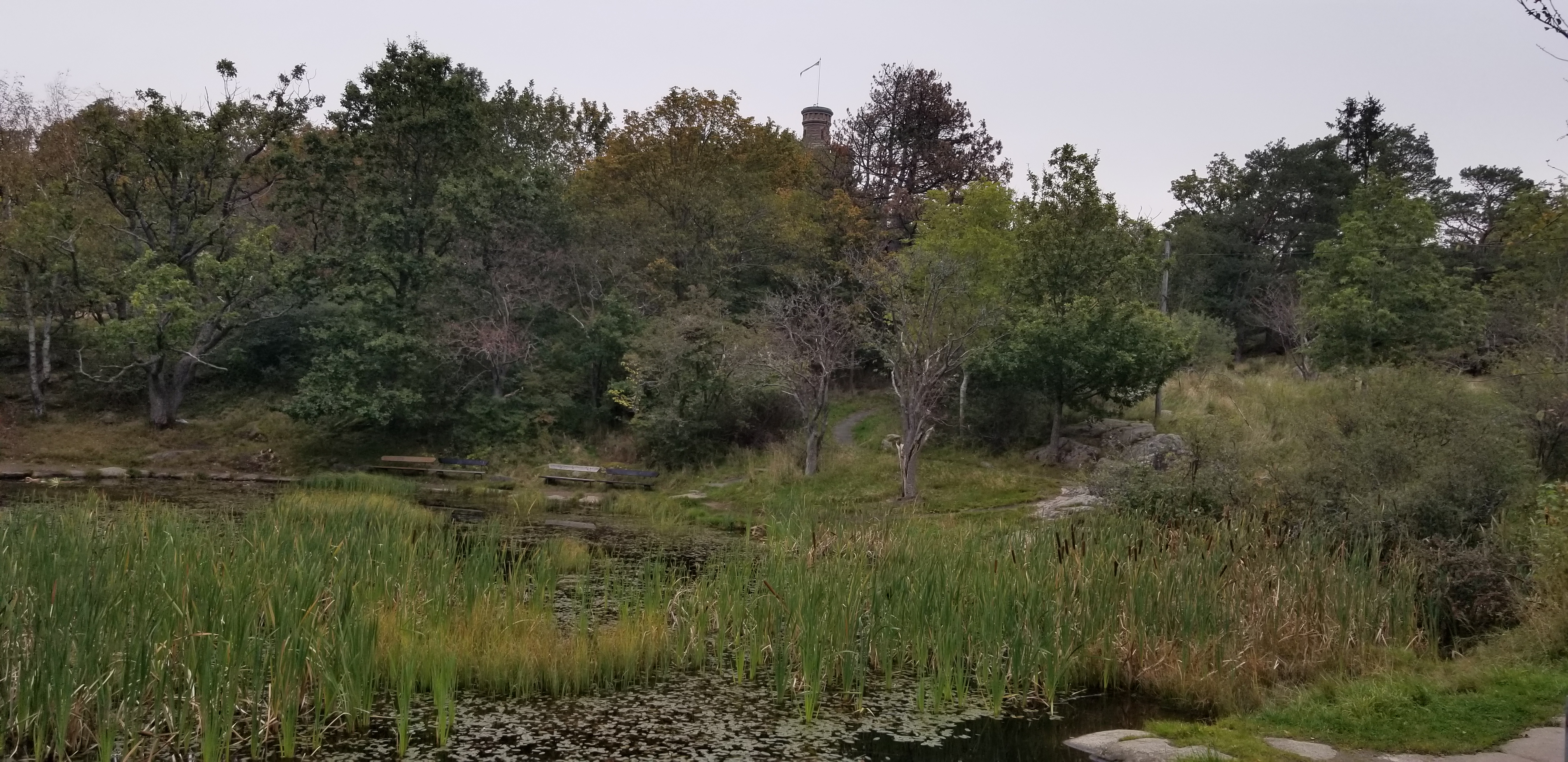 Slottsskogen Park in Gothenburg, Sweden. The park is just outside the city center, but aside from occasional glimpses of the tower of an old fortress, it feels like unspoiled wilderness