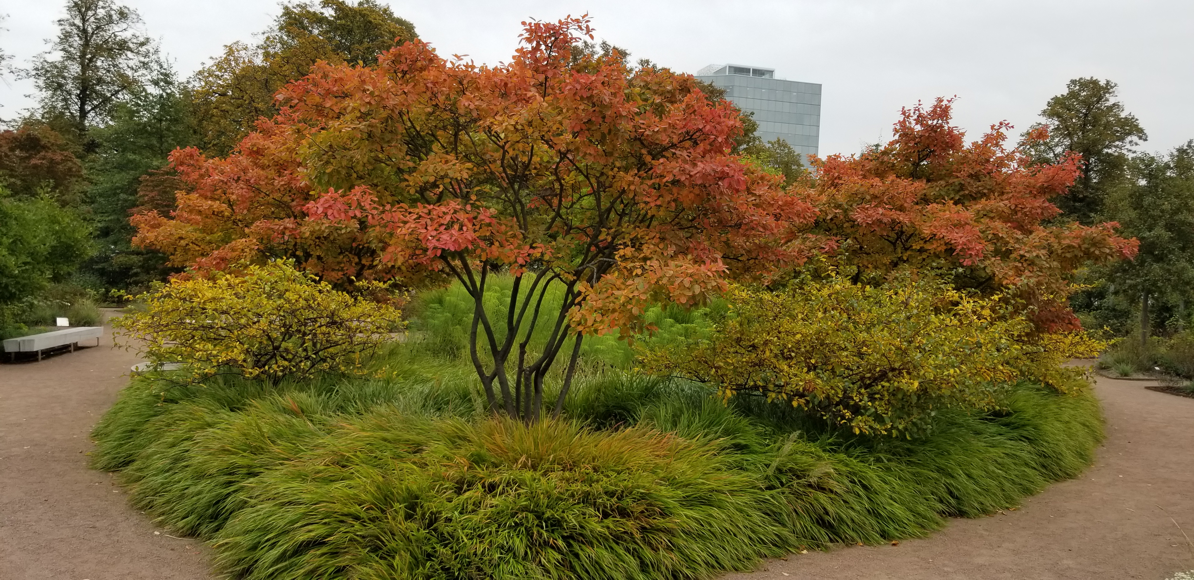 Fall colors outside the botanical gardens in Gothenburg, Sweden