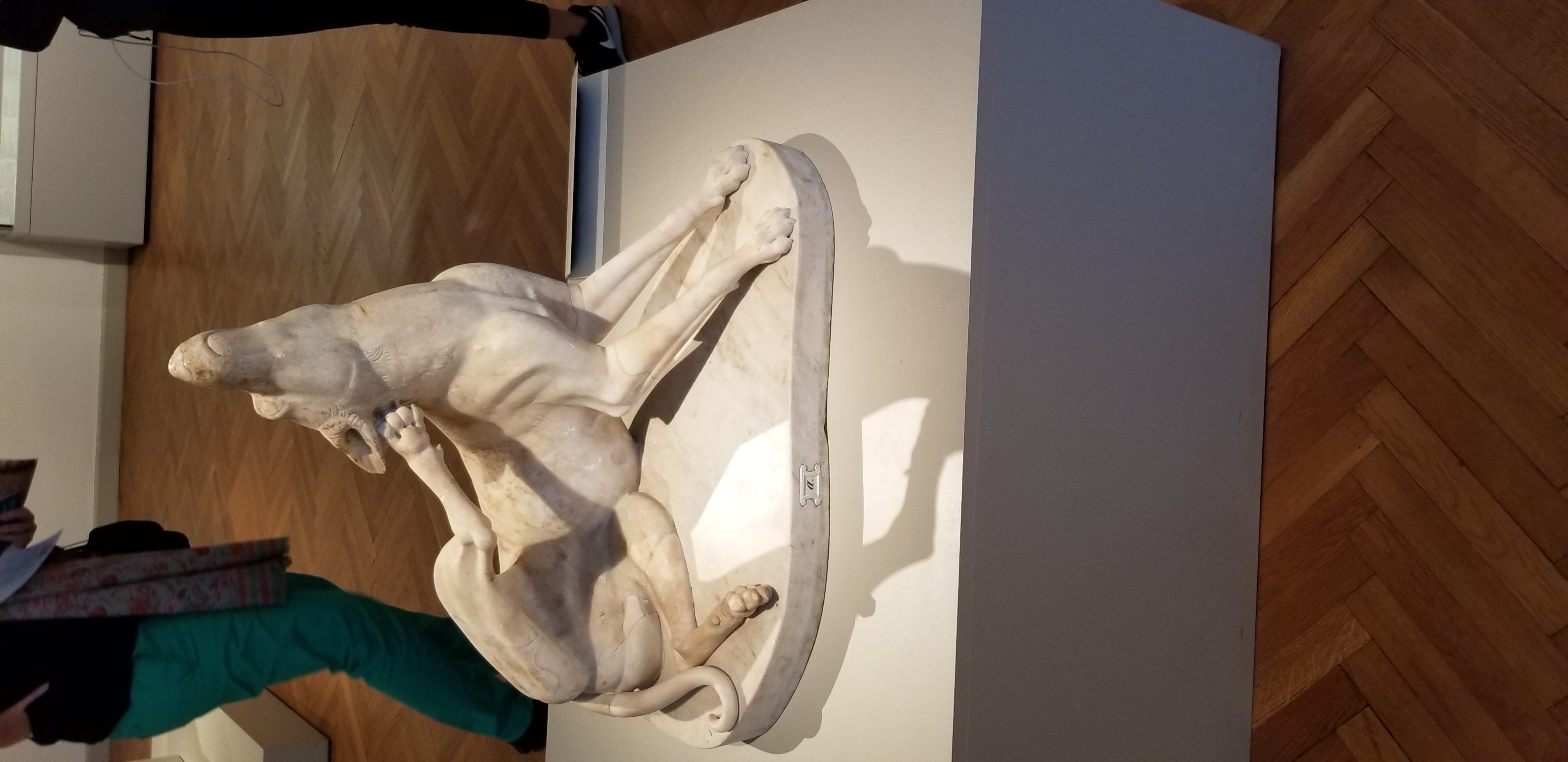 Statue of an itchy dog, Neues Museum, Berlin