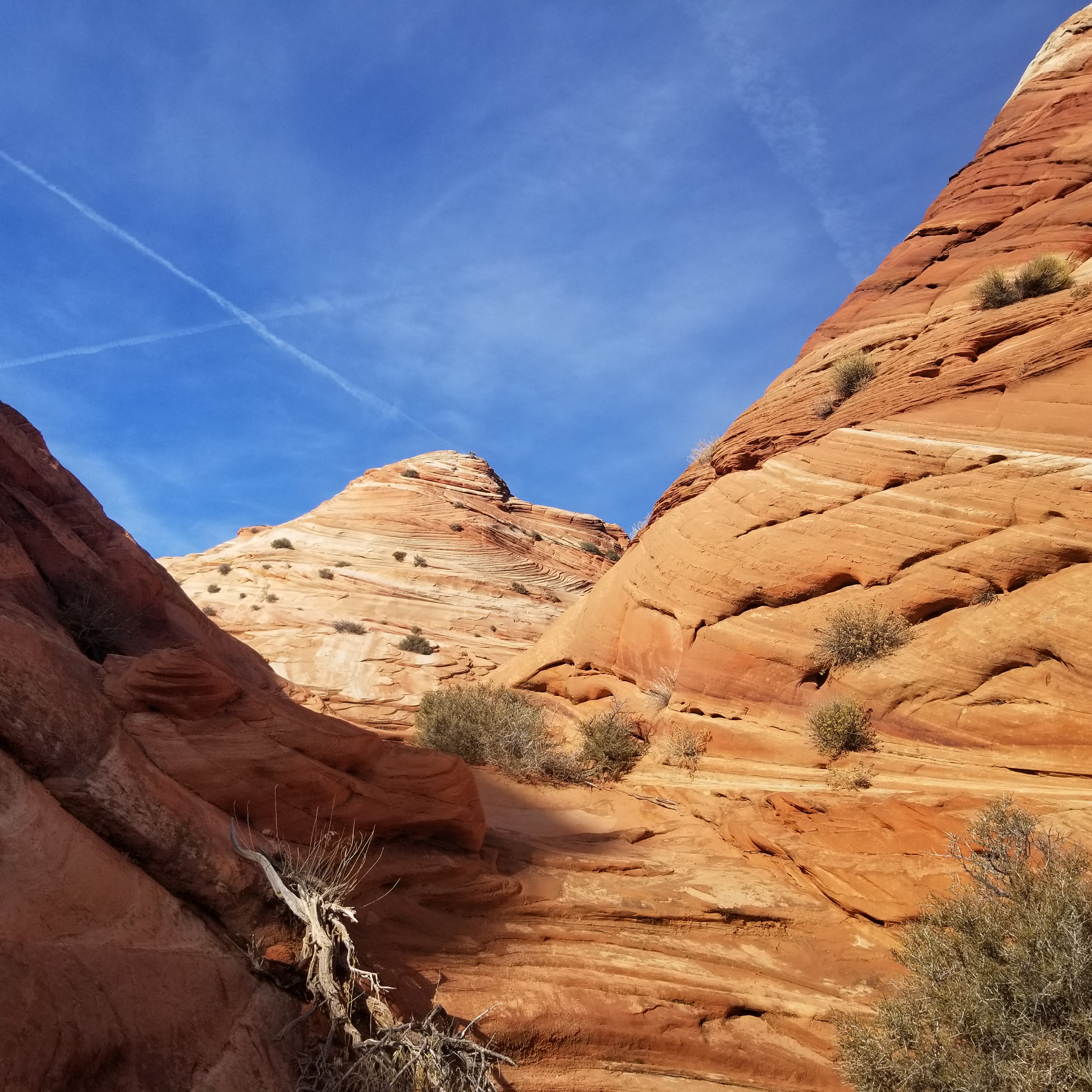 More cool rock formations in North Coyote Buttes