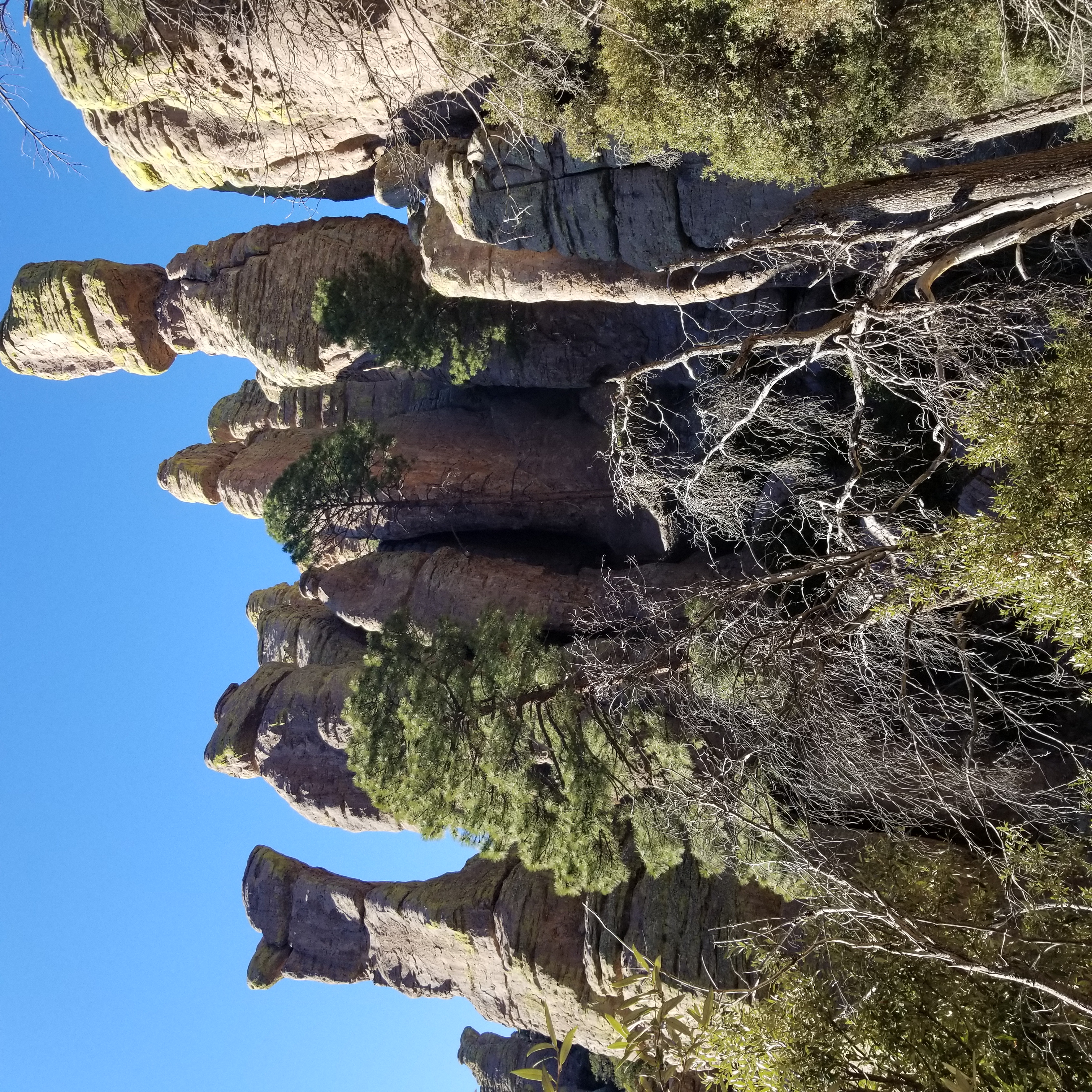 Rock formations in Chiricahua National Monument, Arizona