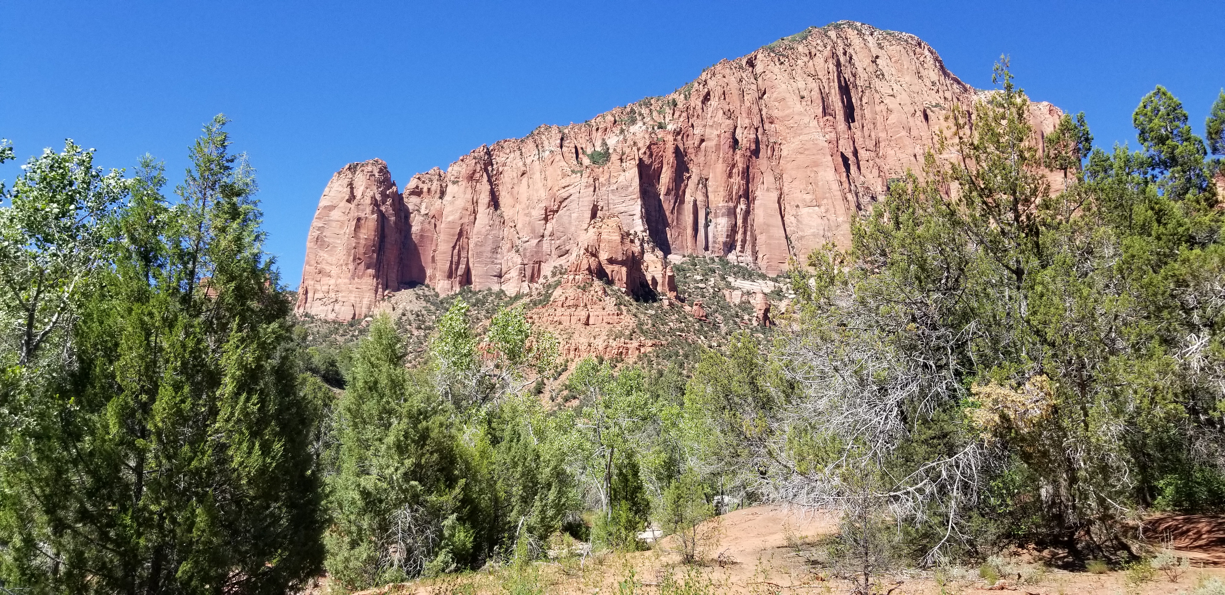 Kolob Canyon, Zion NP. The hike was beautiful but very hot