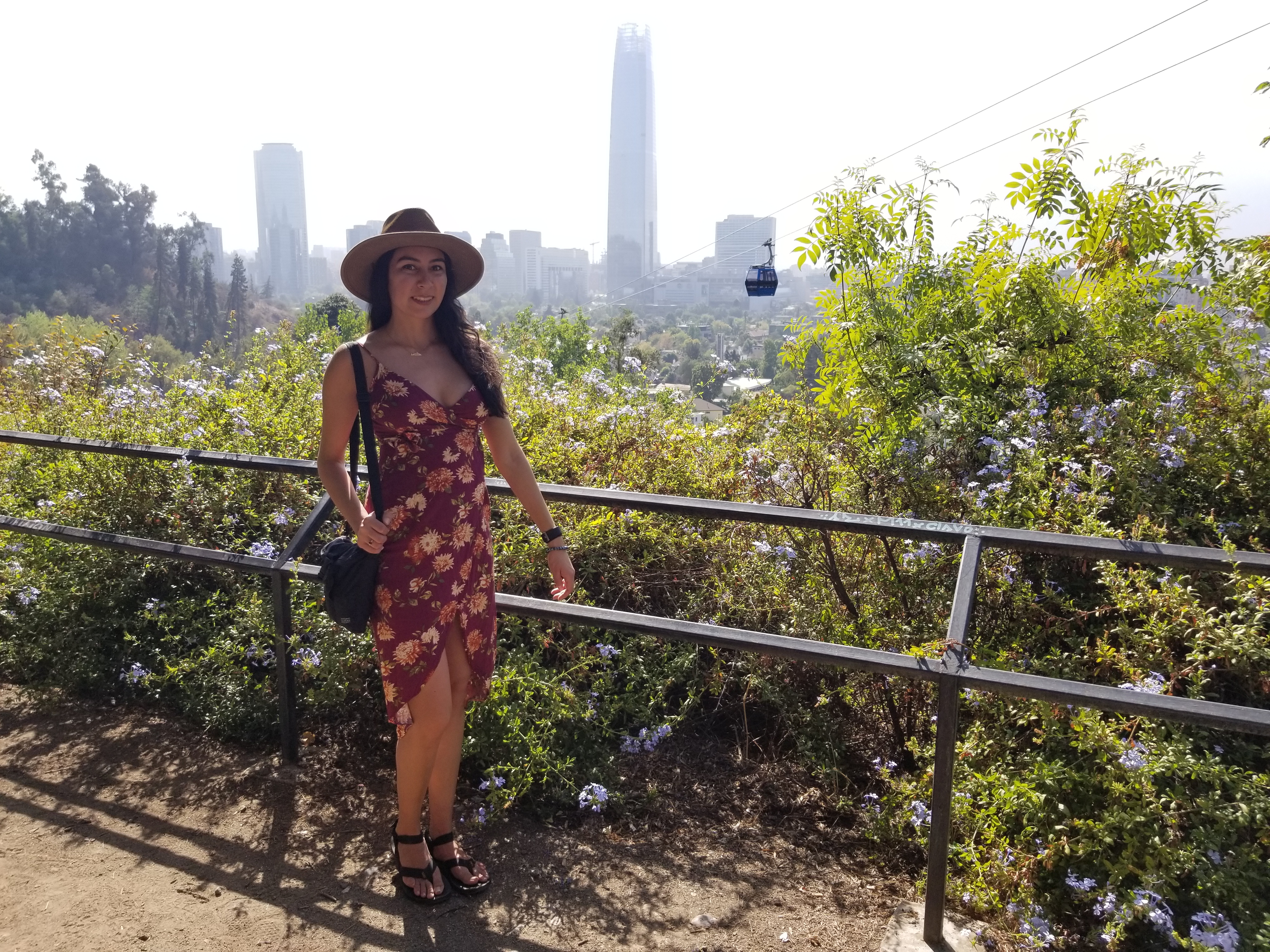 Public gardens in Santiago