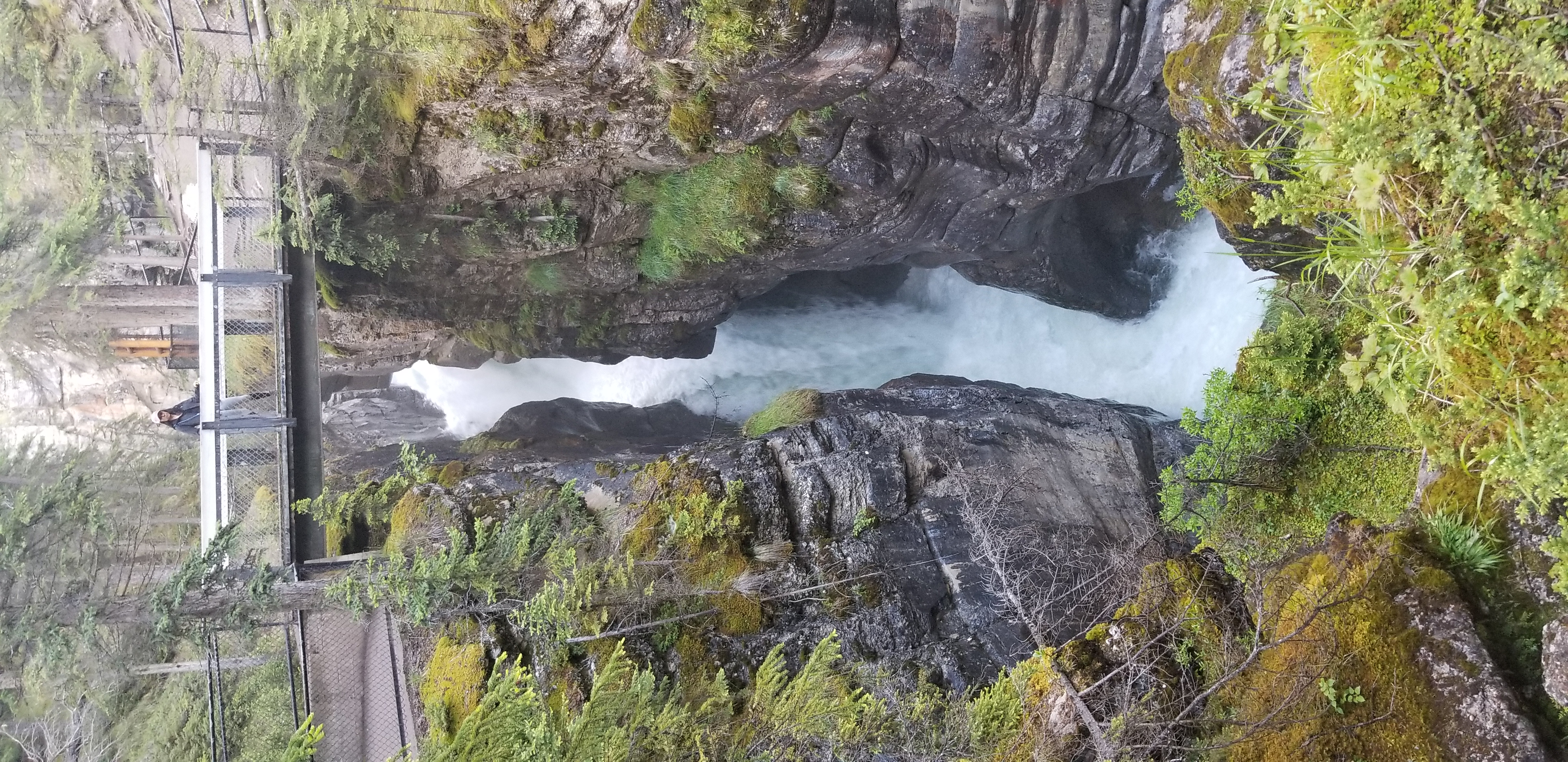 Bridge above Maligne Canyon, a slot canyon in Jasper NP