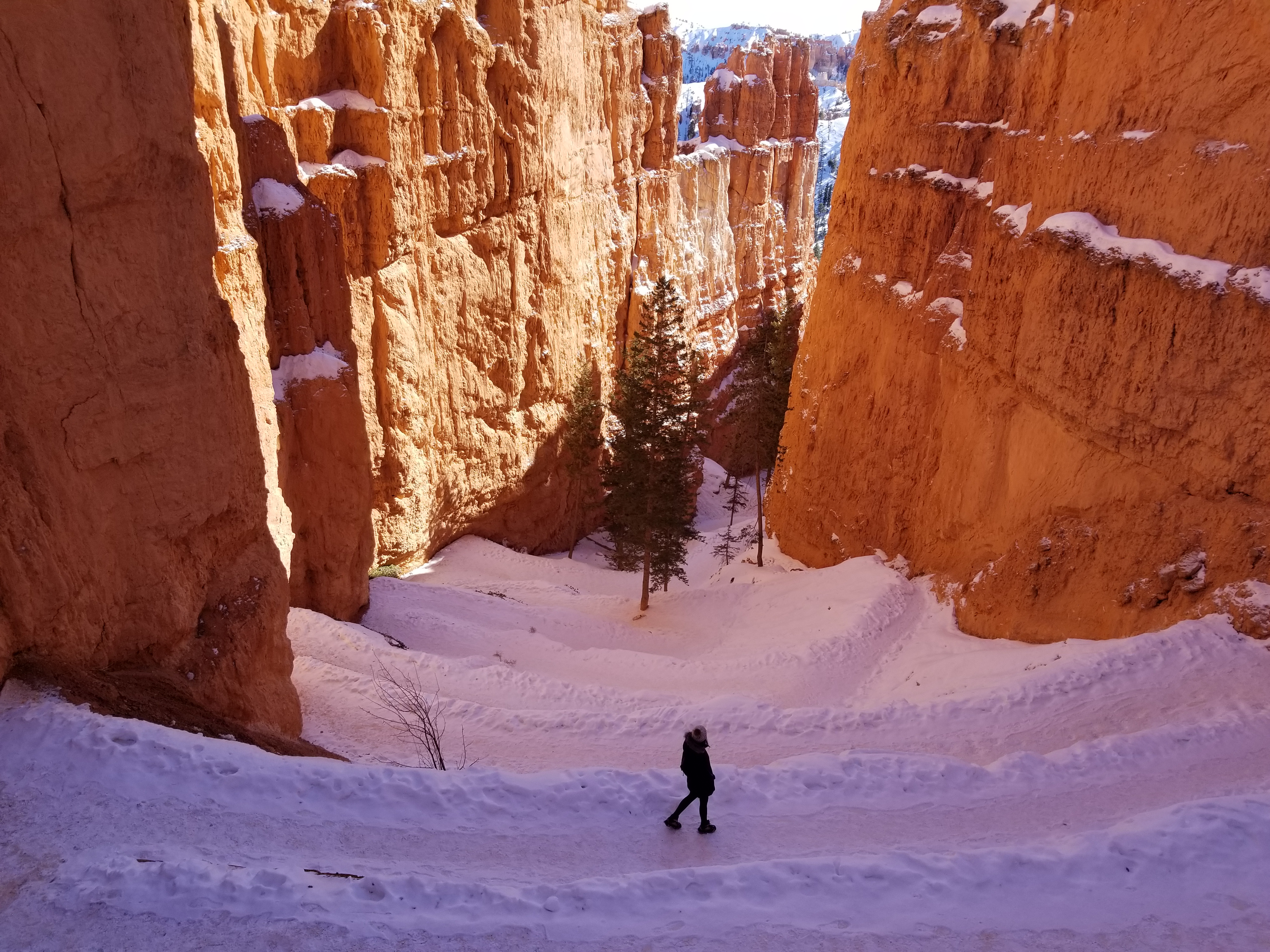 Walking down snow switchbacks into the canyon at Byce