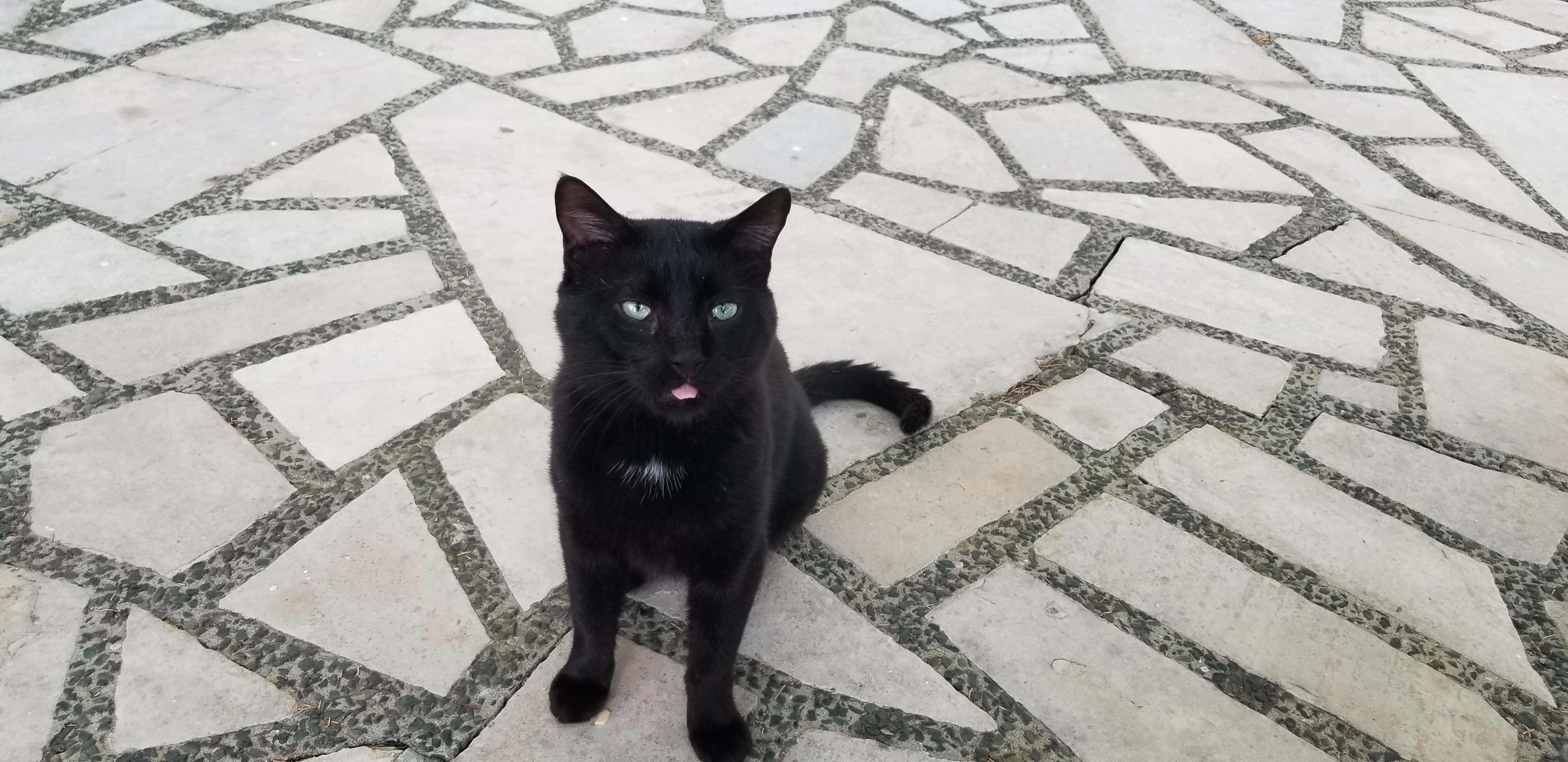 Blep