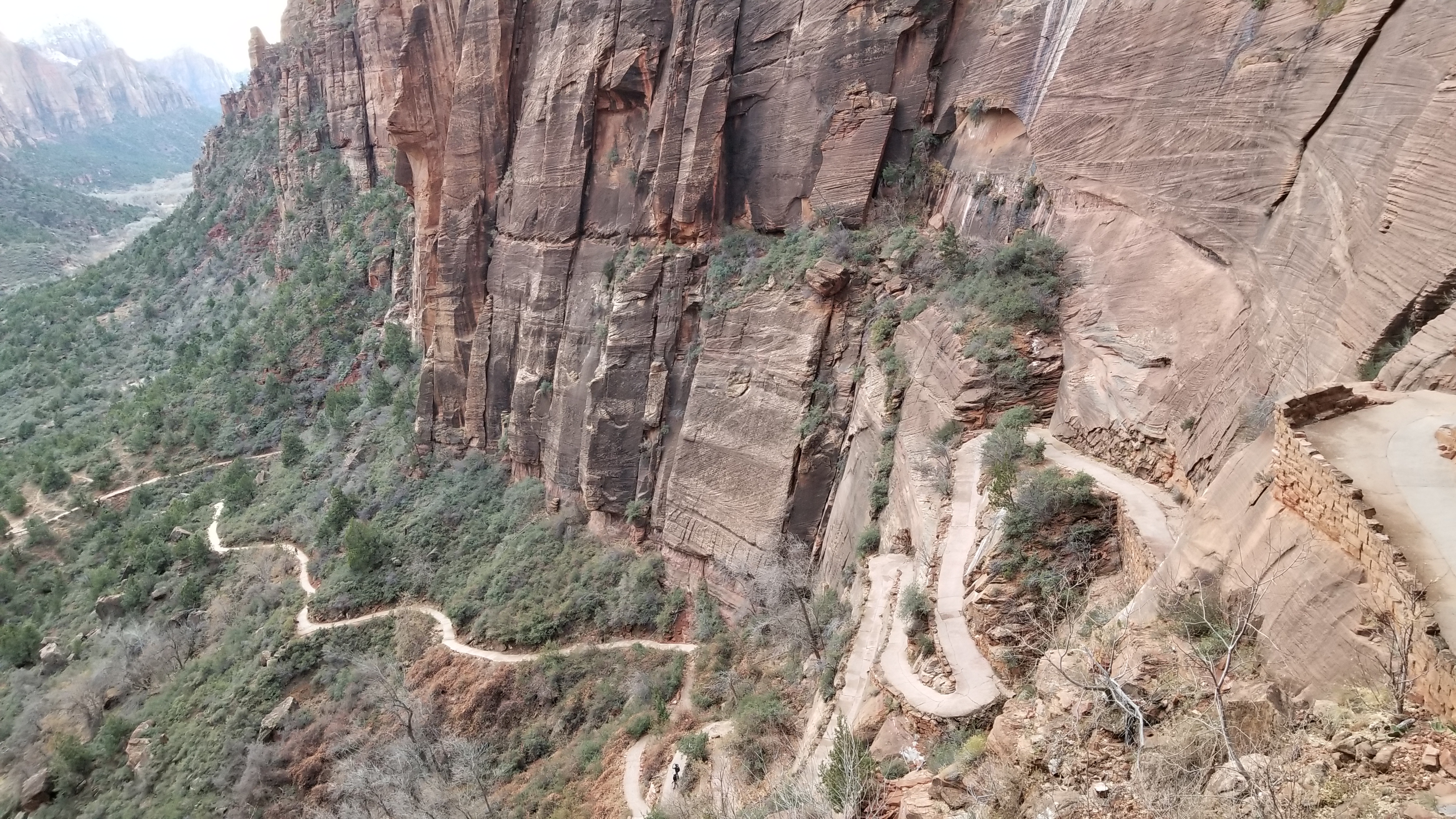 Went up those switchbacks and several more to get to the cliff on Angel's Landing trail