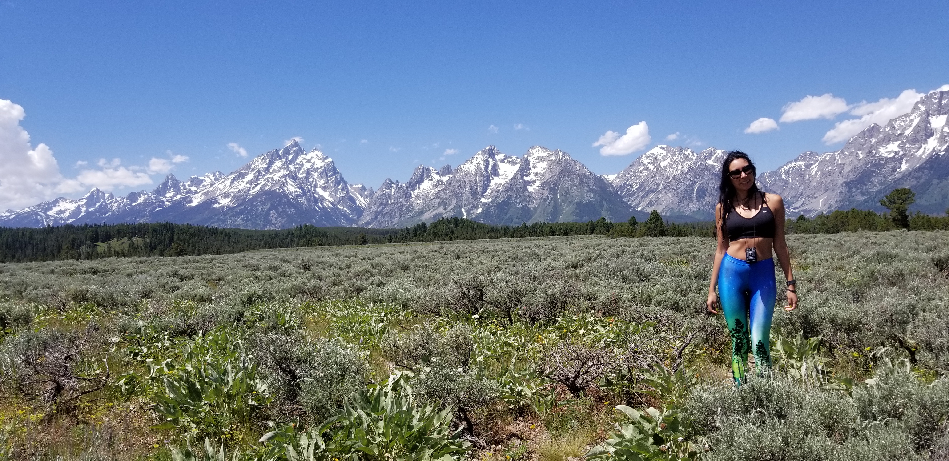 Grand Teton NP