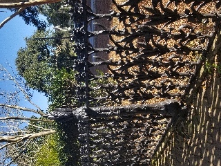 Beautiful corn fence in the Garden District of New Orleans