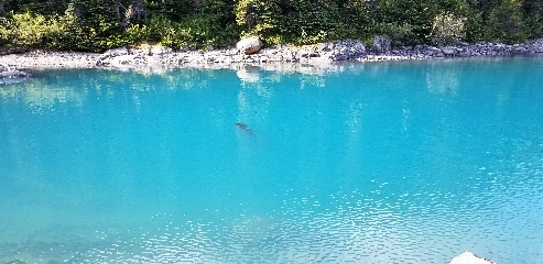 Garibaldi Lake looked even more vibrant on the way down