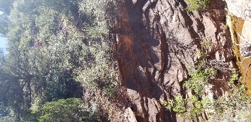 Stream running through the canyon below the trail