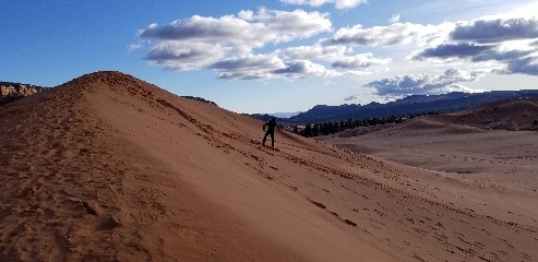 Weeeee! Sandboarding is fun!