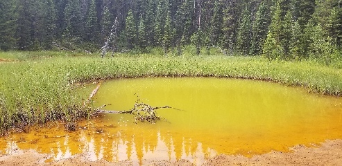 Ochre pool in Kootenay NP, Canada