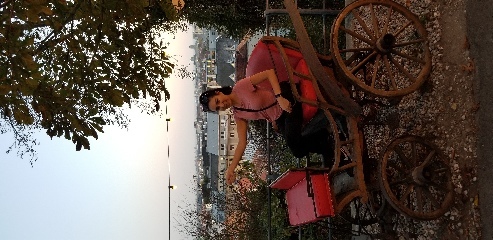 Zelzah rides her carriage through the streets of Zagreb