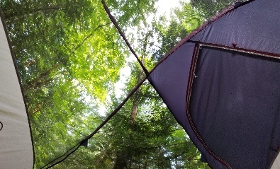 Our campsite in North Cascades NP, Washington