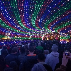 Austin Trail of Lights