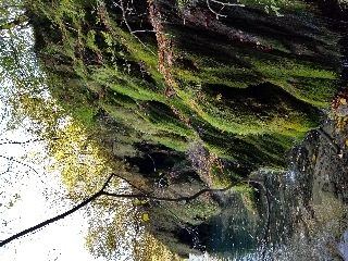 Hanging garden in Plitvice Lakes National Park in Croatia