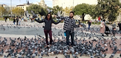 Being pigeon whisperers