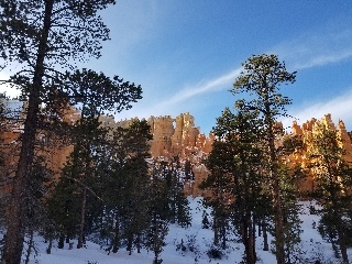 In the forests of Bryce Canyon