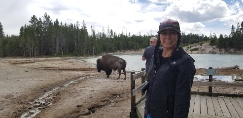 Bison chilling (warming?) by a hot spring in Yellowstone NP, blocking the view for Zelzah's picture