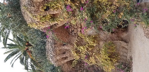 Natural sculptures in Park Guell