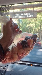 Best Rainier and Bing cherries we’ve had! Purchased at road side before entering Mount Rainier NP