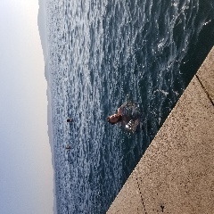 Josh takes a swim next to the sea organ in Zadar, Croatia