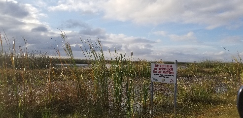 Sign at Pintail Wildlife Refuge warning not to feed alligators as they can see humans as a source of food and potentially become dangerous (this goes for all wildlife)