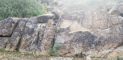 Petroglyphs on a hike in White Tank Regional Park in Arizona.