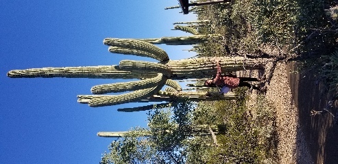 Made a new friend in Saguaro National Park, Arizona